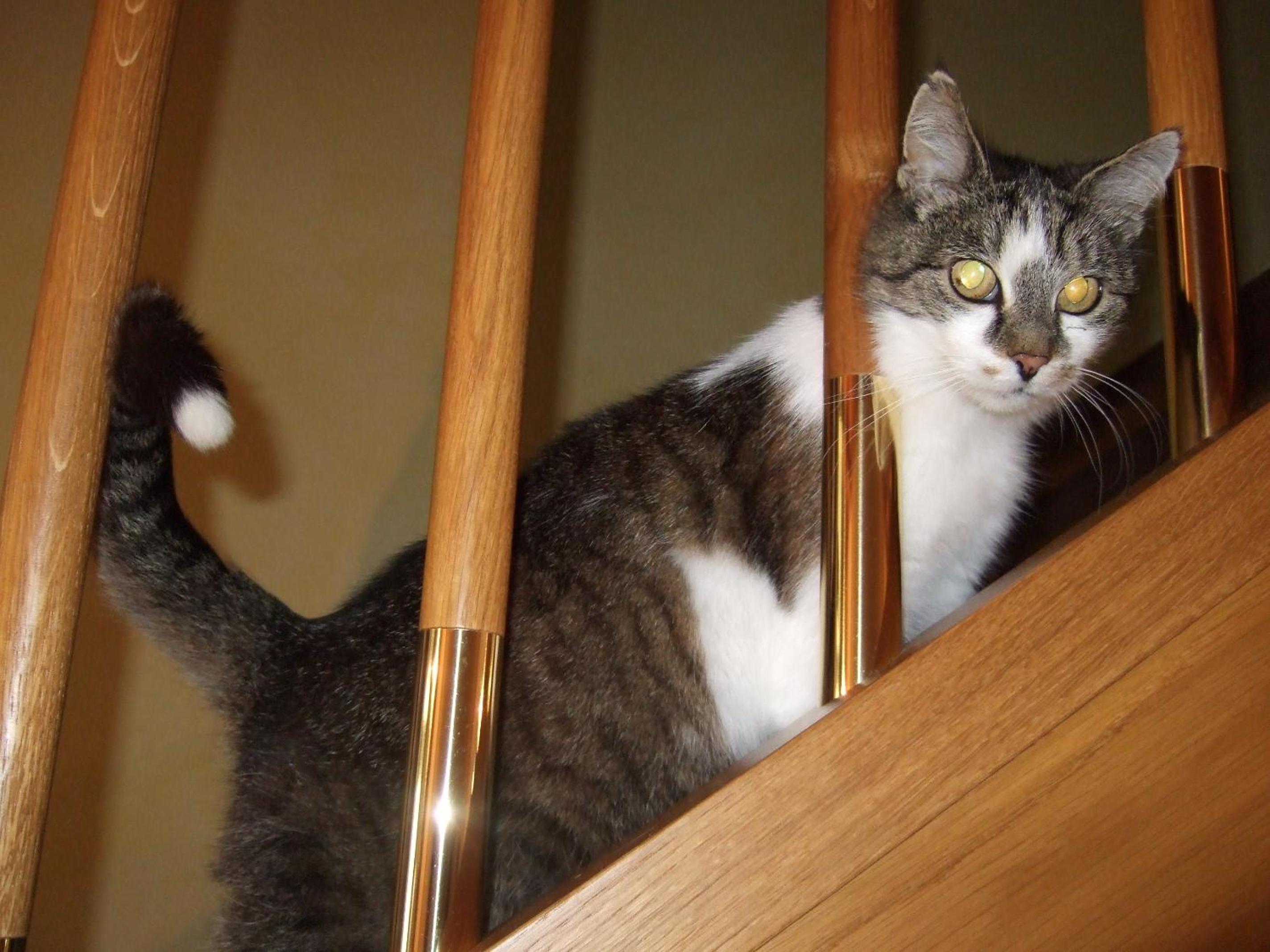 Photo 20