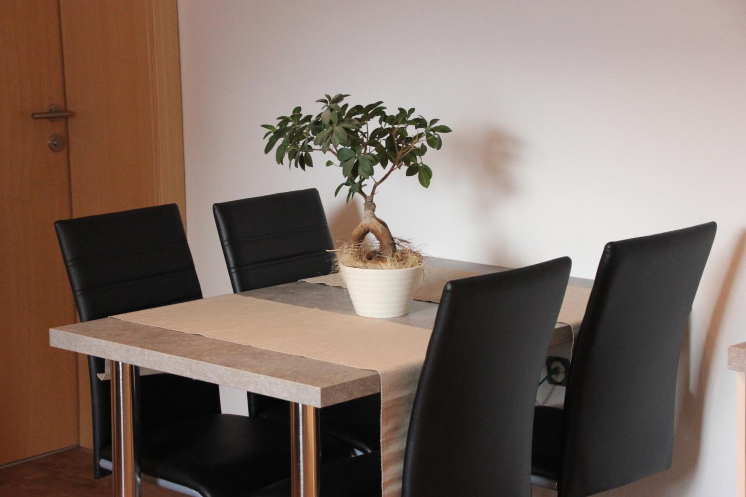 Apartment Warmuth