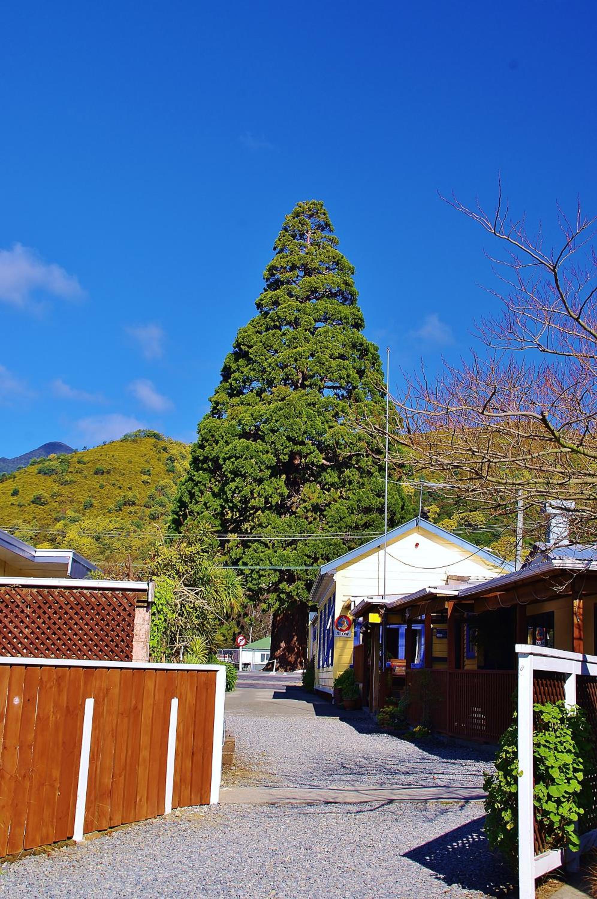 Sequoia Lodge Backpackers - Image 2