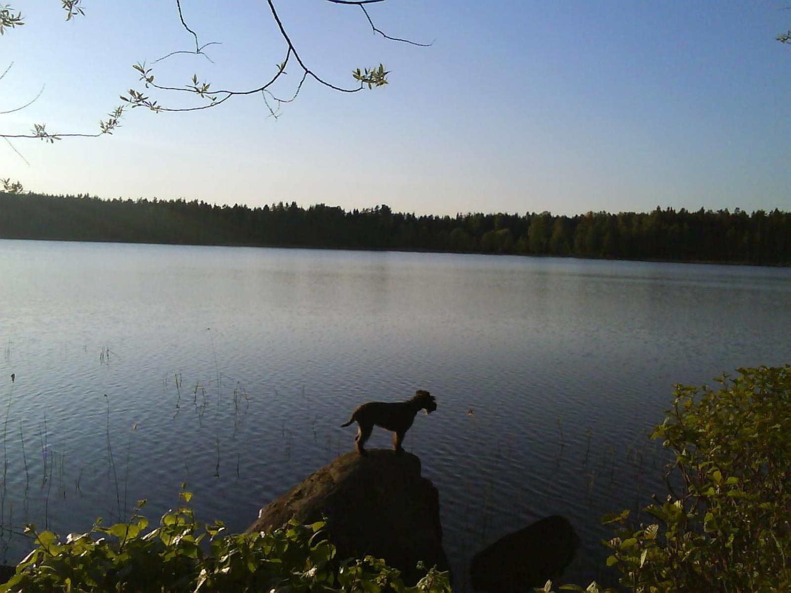 Photo 45