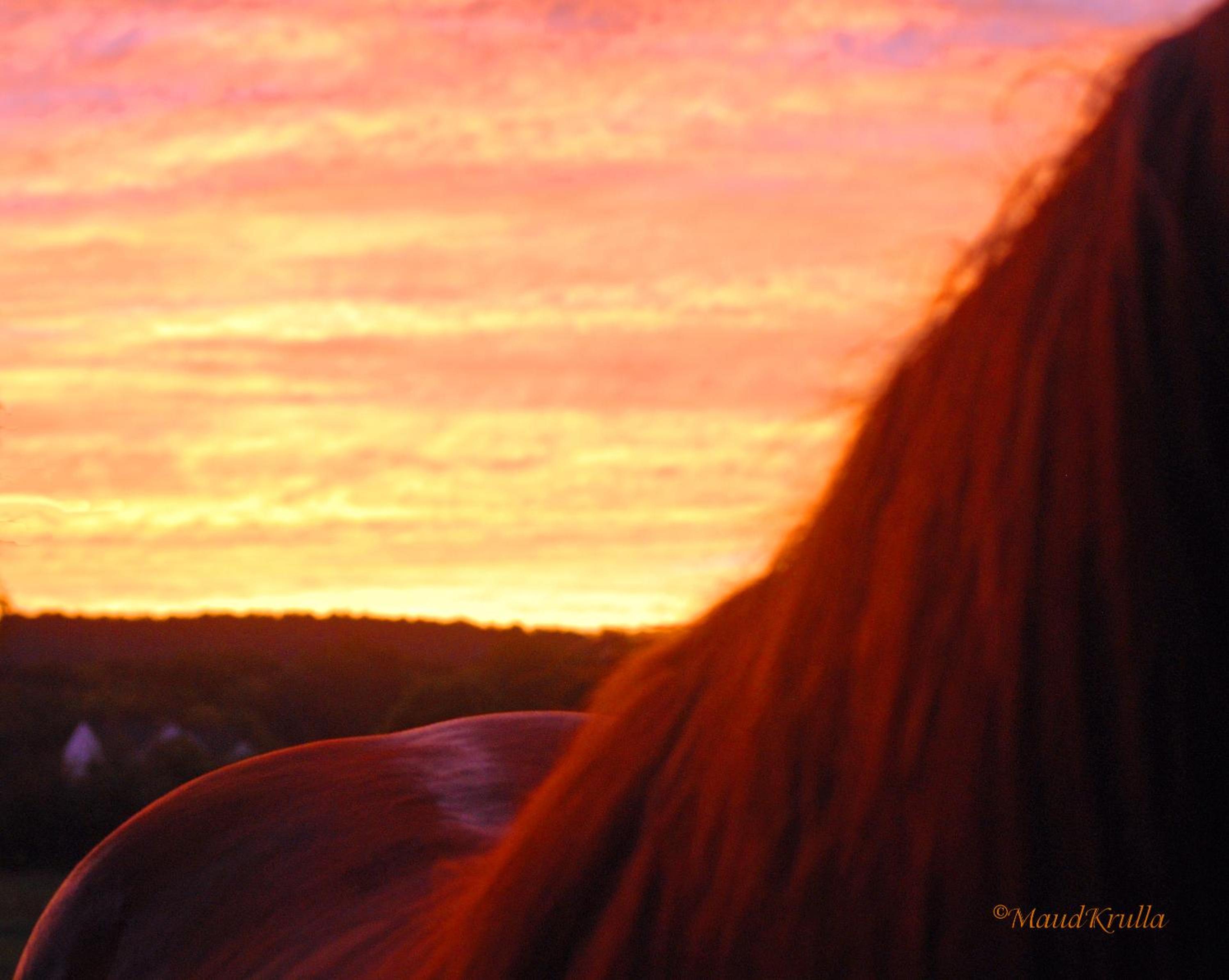 Villa Maud - Property Image 2