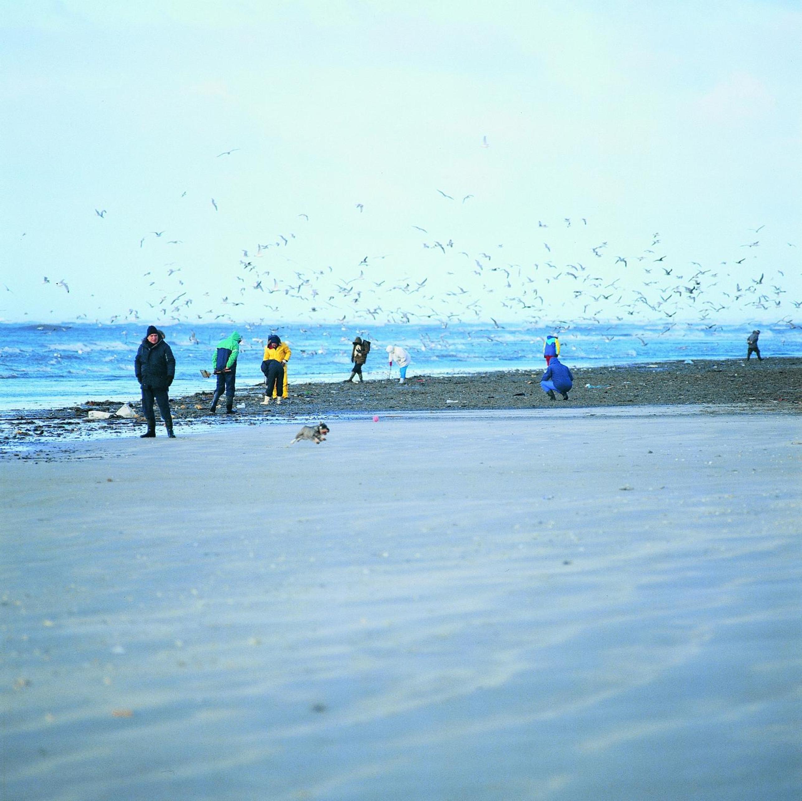 Photo 40