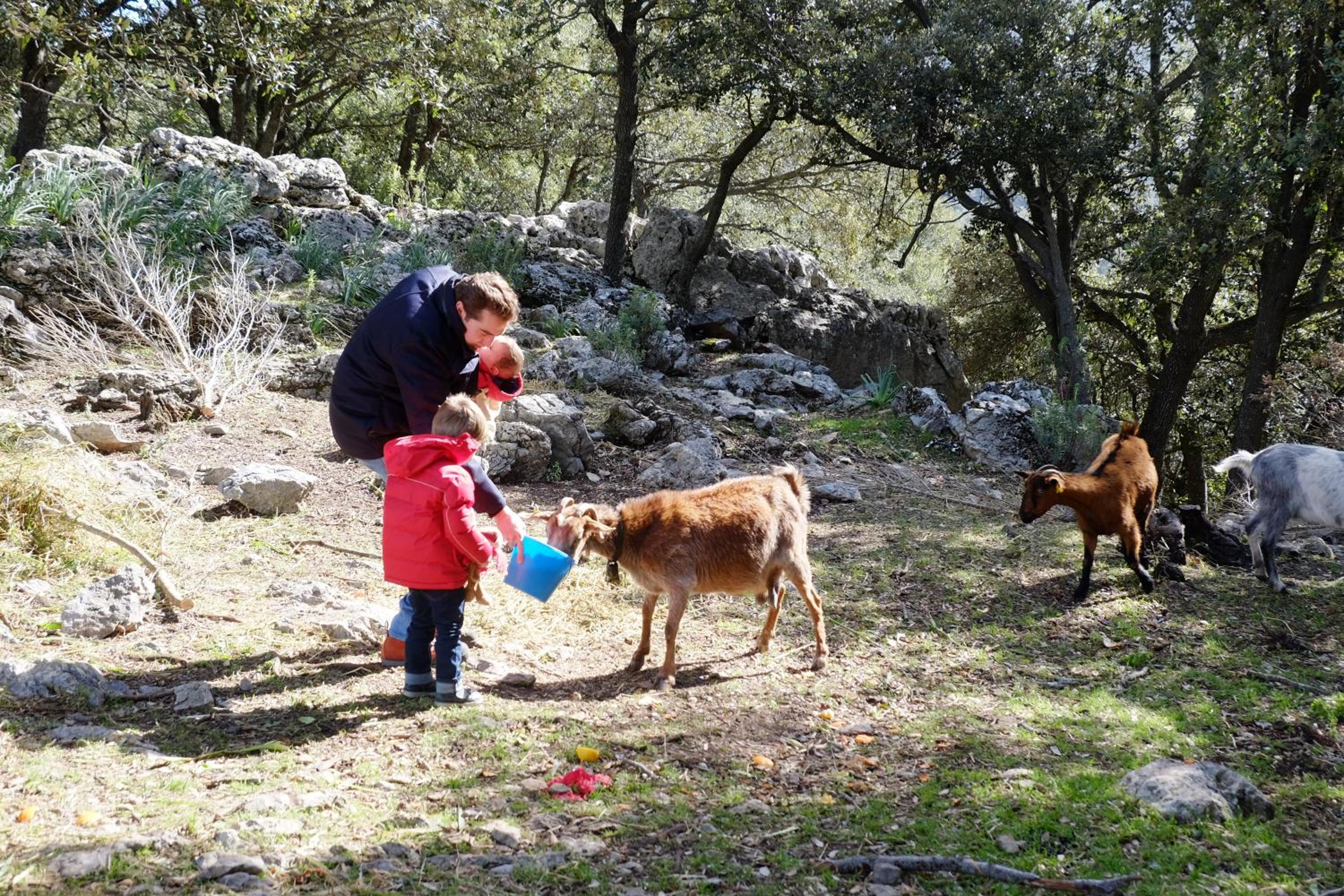 Photo 41