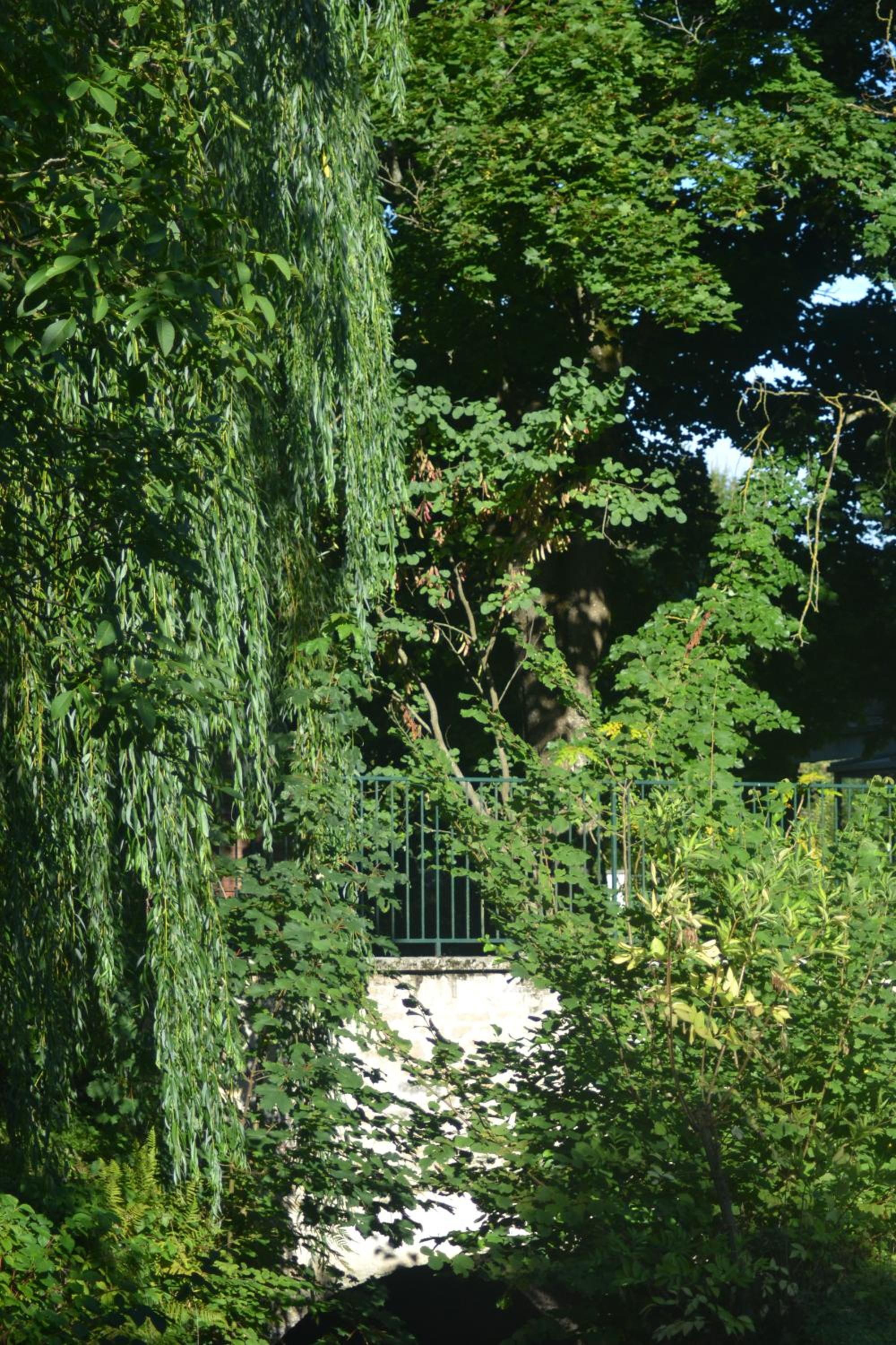 Photo 14