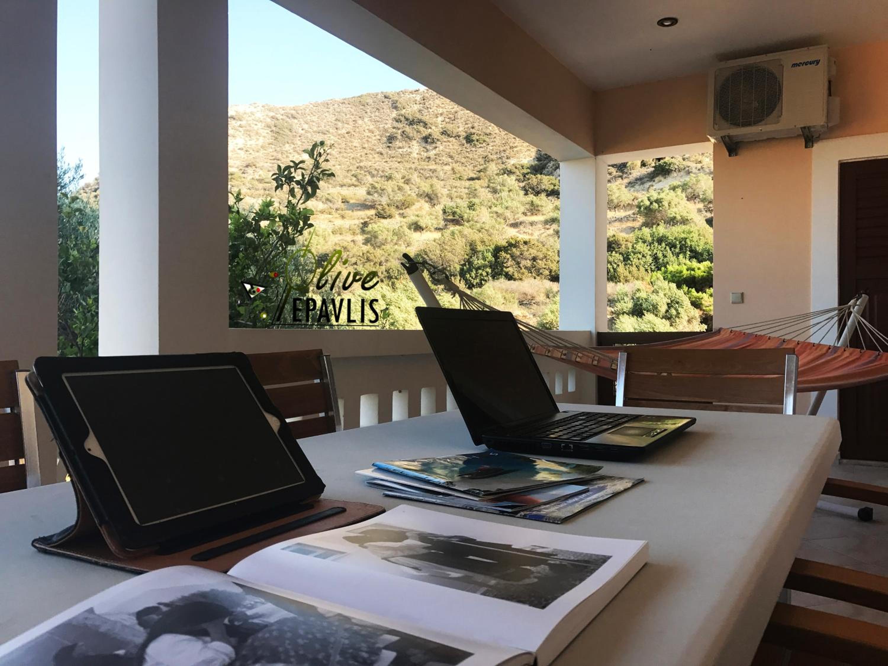 Olive Epavlis photo 4