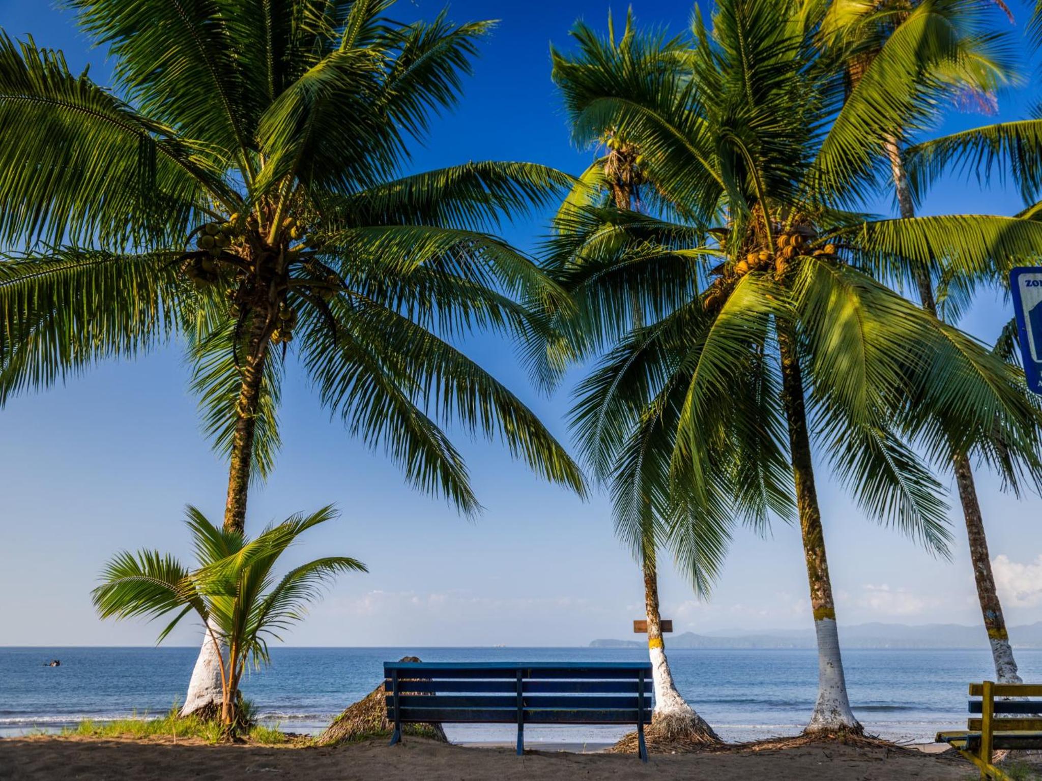 Playa de Oro Lodge