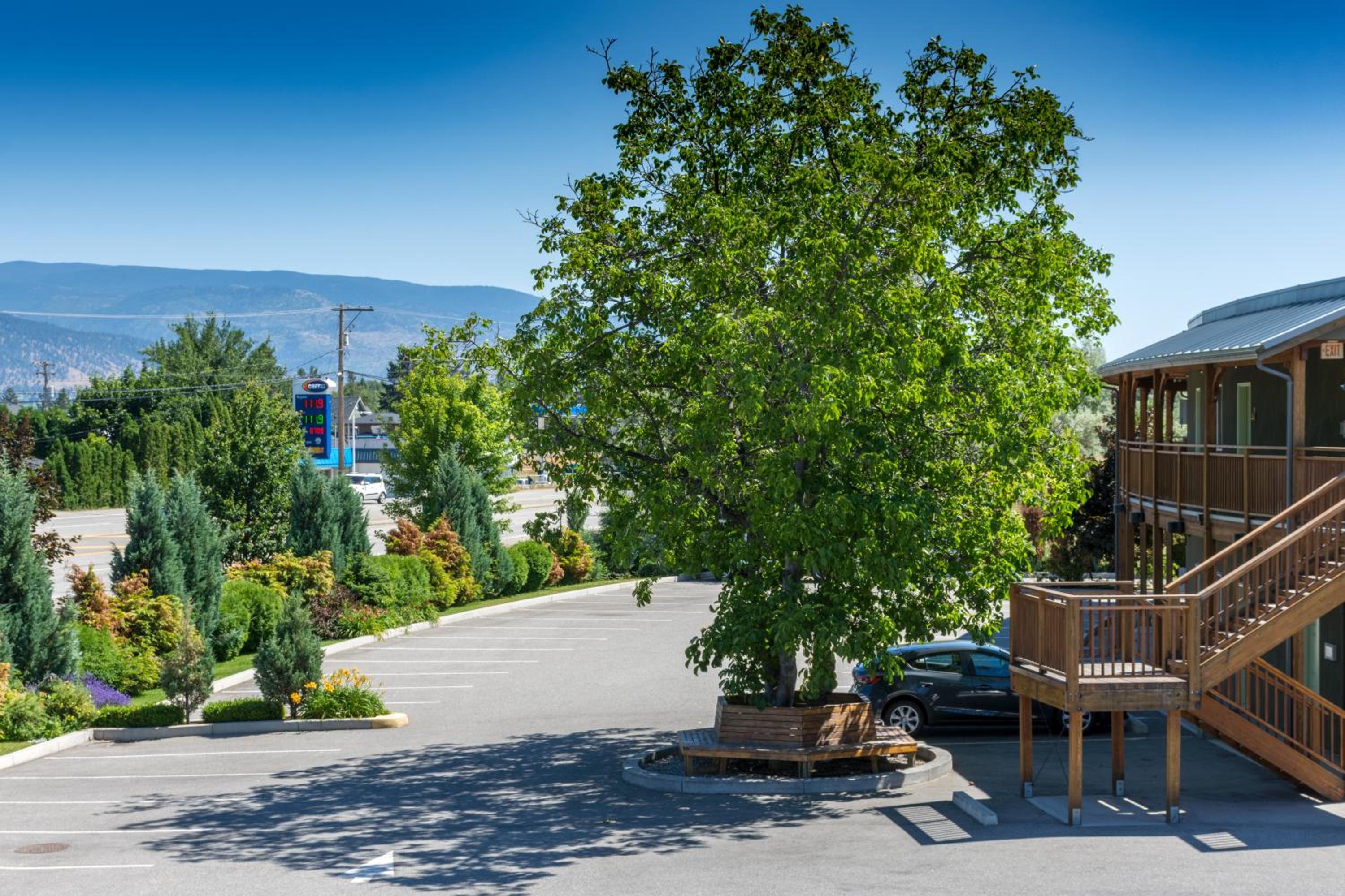 Summerland Motel view 2
