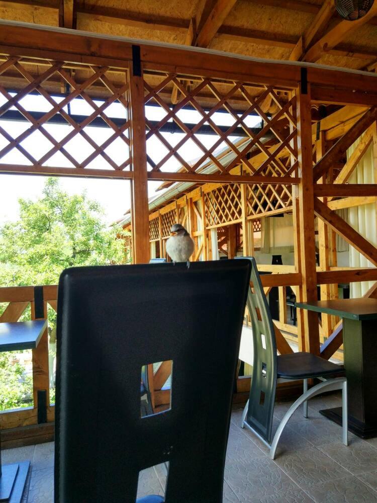 Guest House Albatros