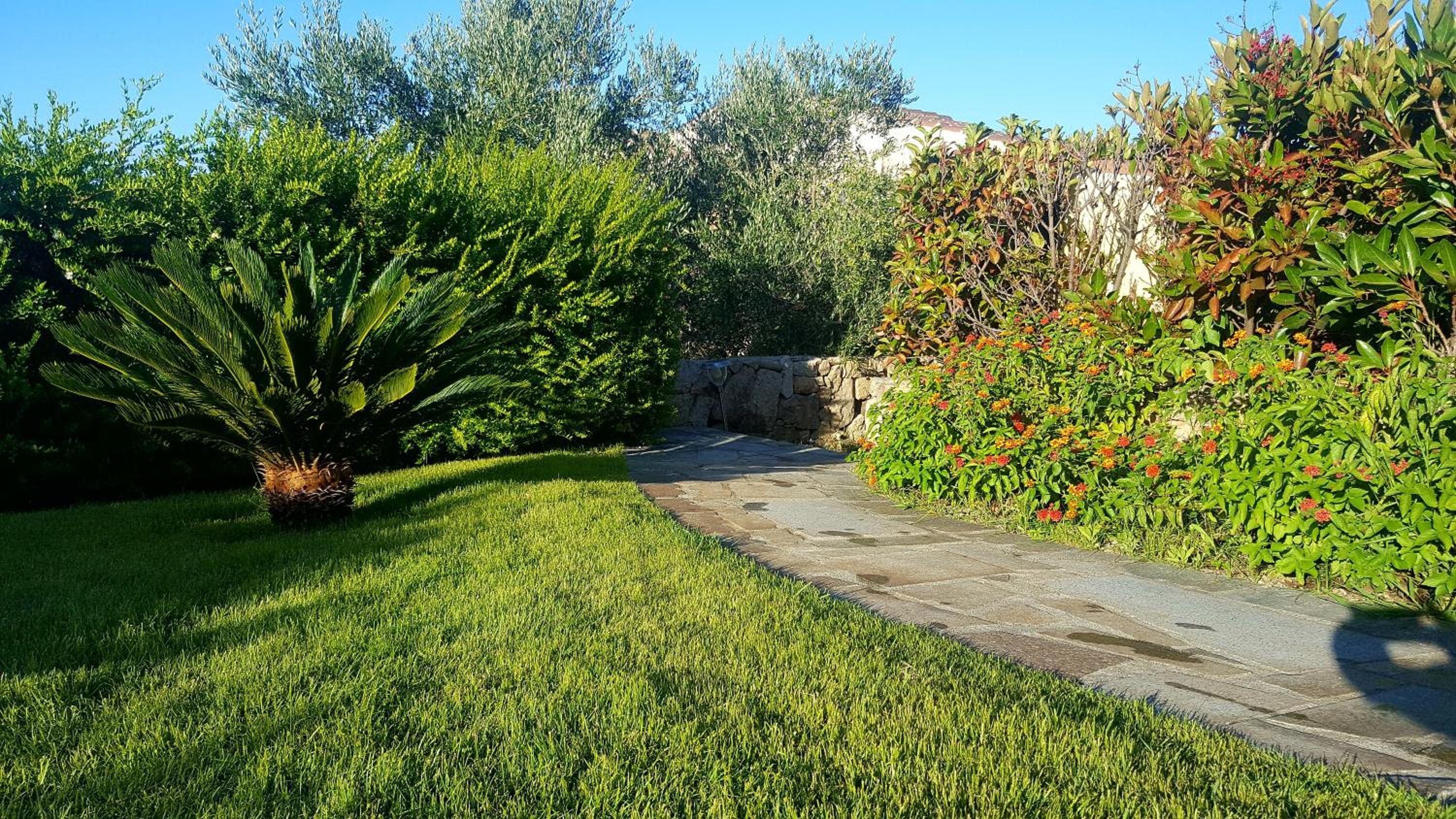 Photo 29