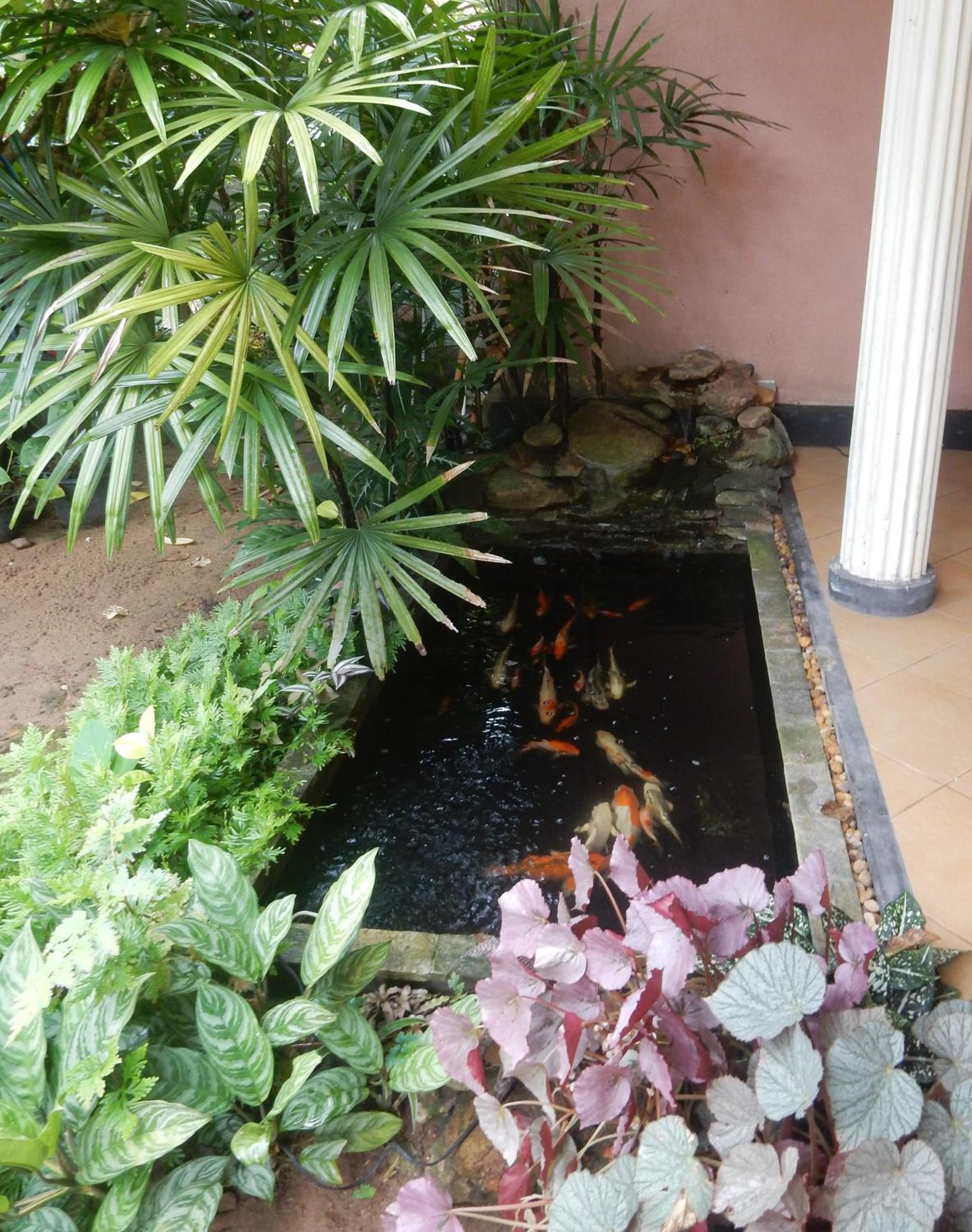 Photo 29
