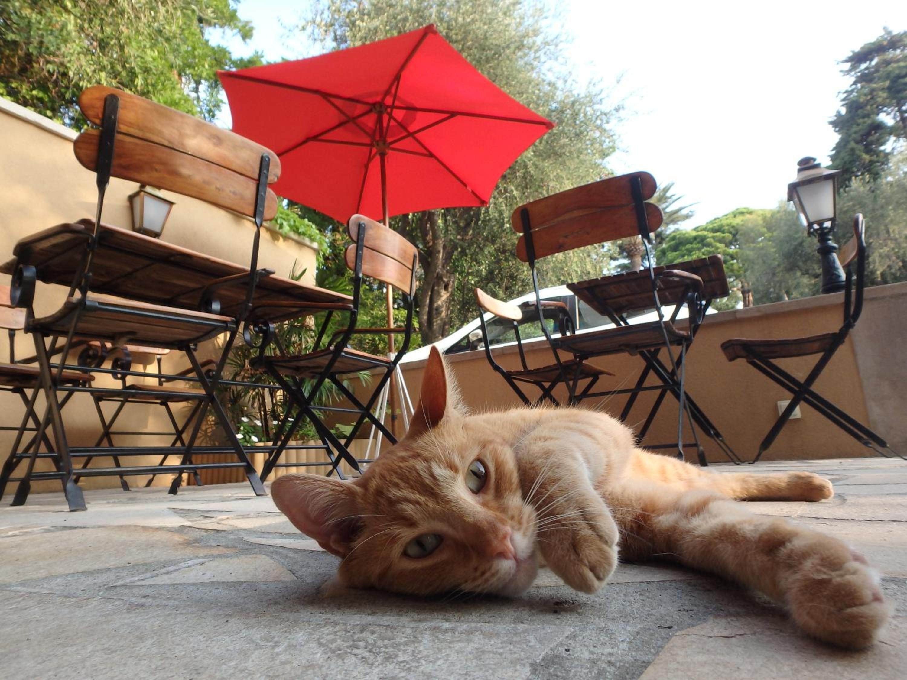 outdoor BBQ area