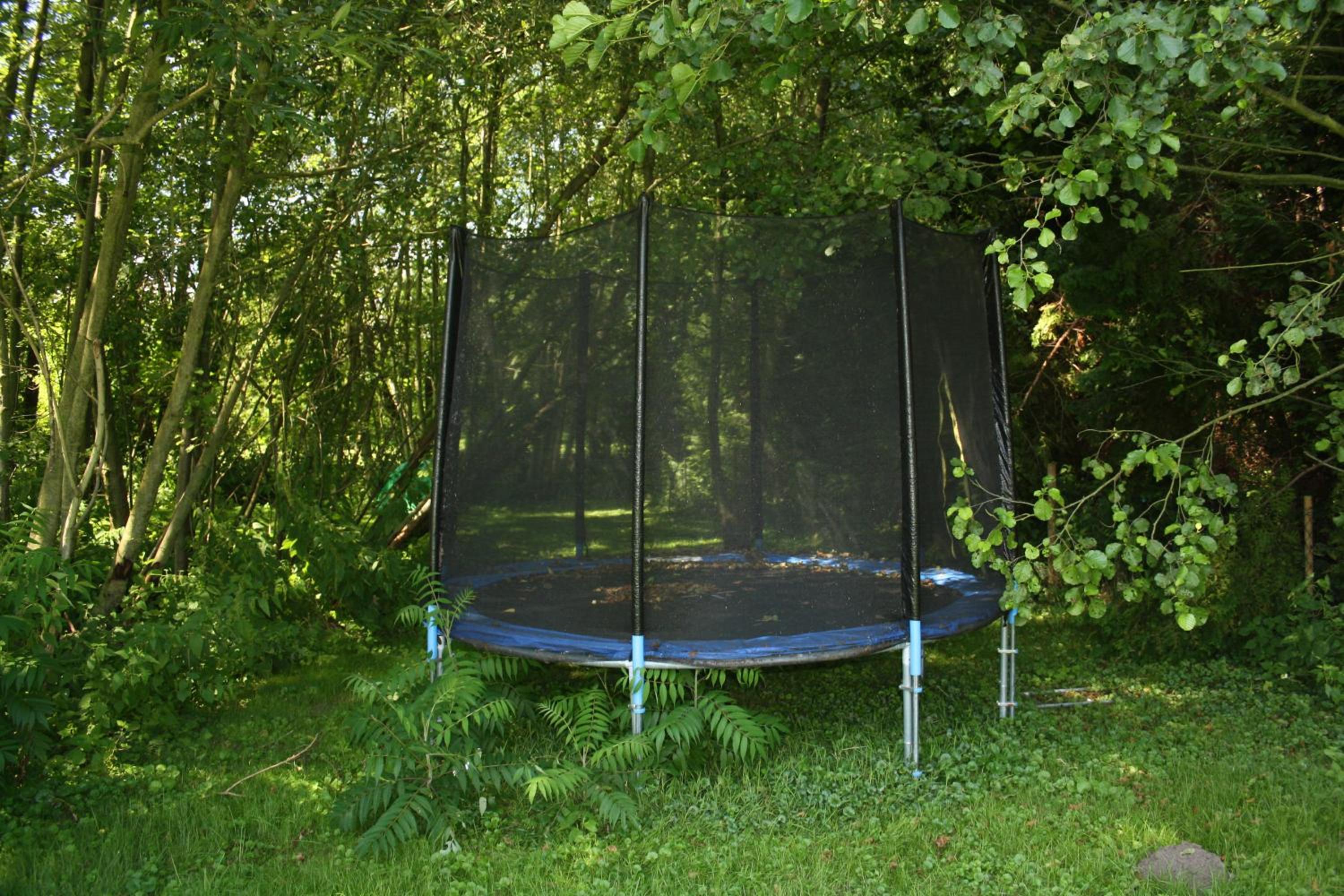 Pension Sommer Locktow - Property Image 7