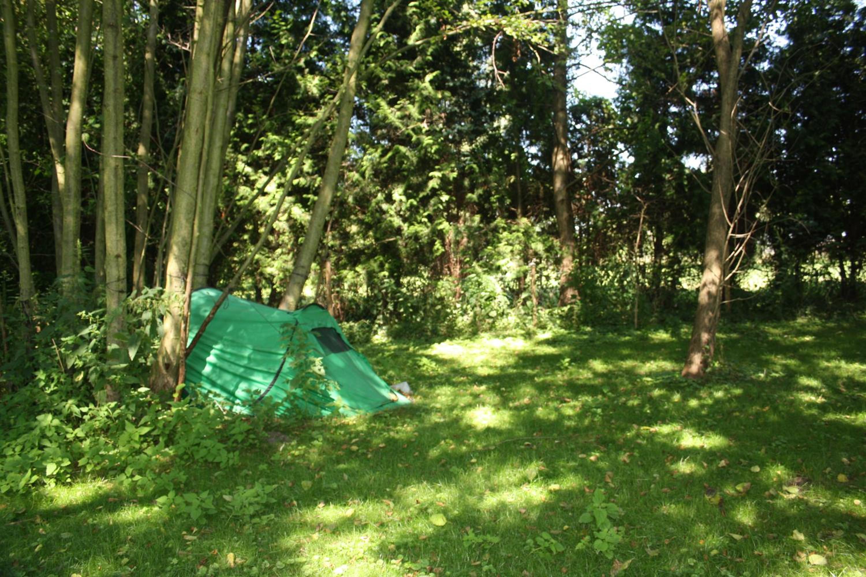 Pension Sommer Locktow - Property Image 4