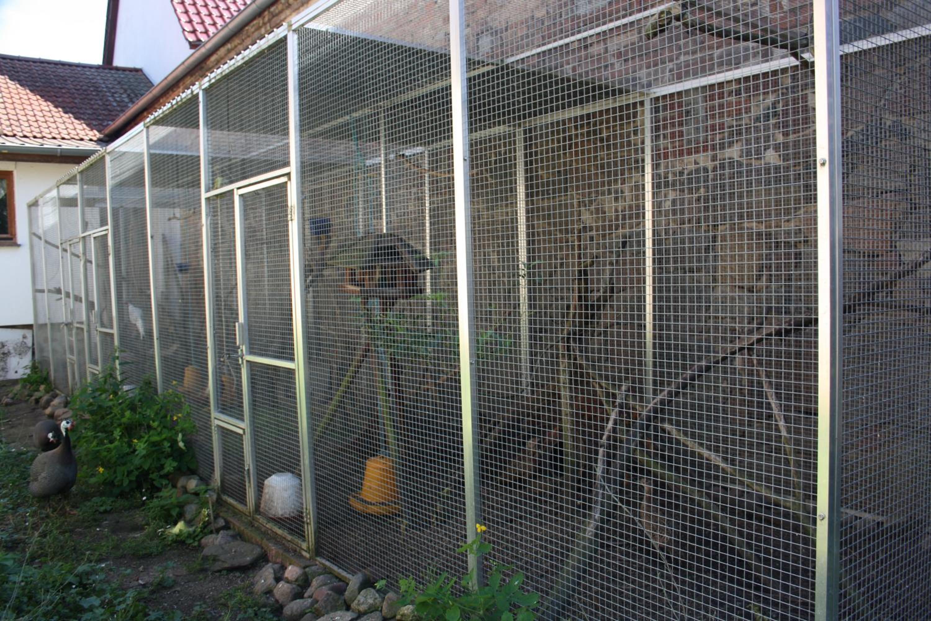Pension Sommer Locktow - Property Image 6