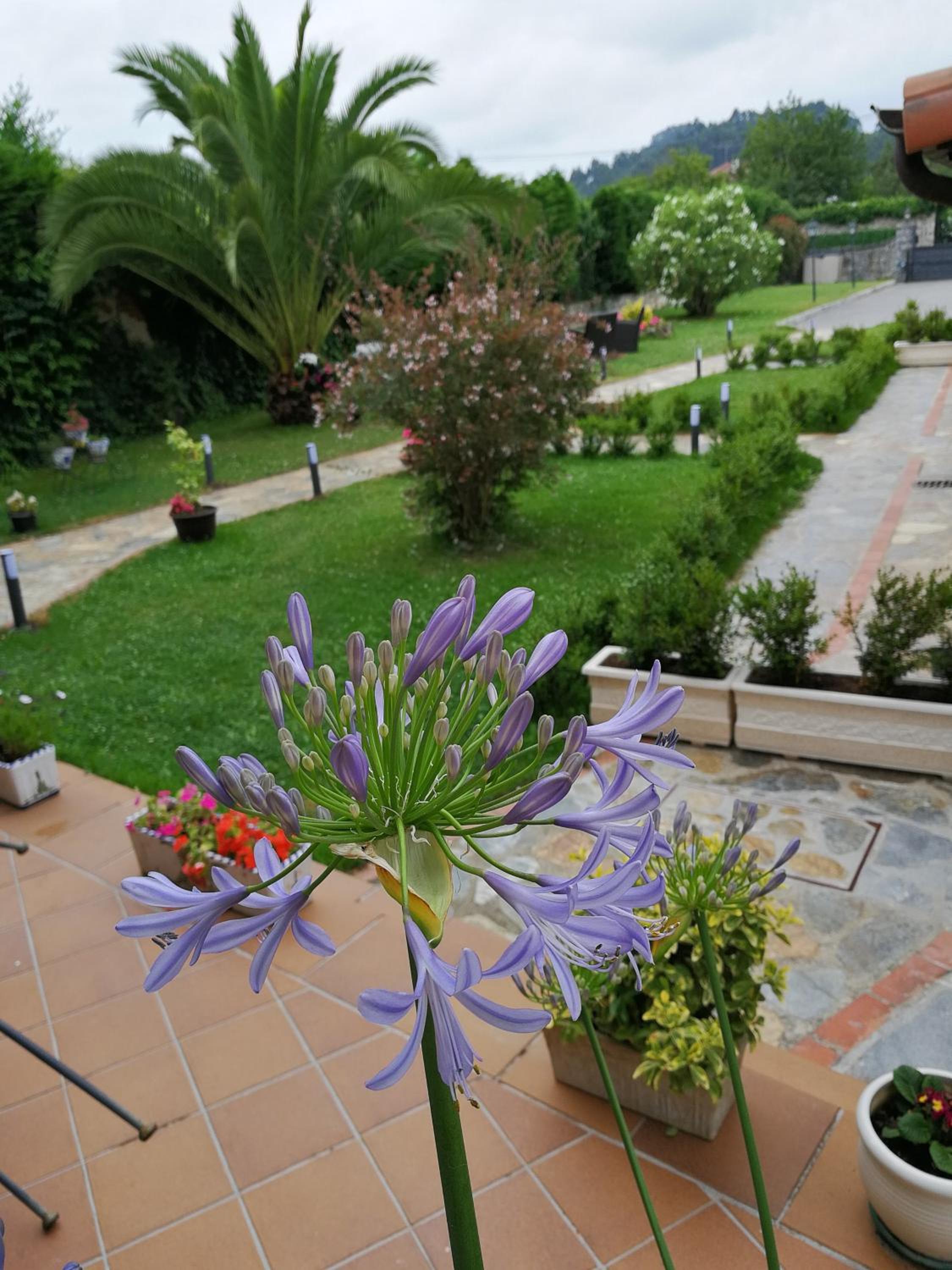La Casona del Carmen view 3
