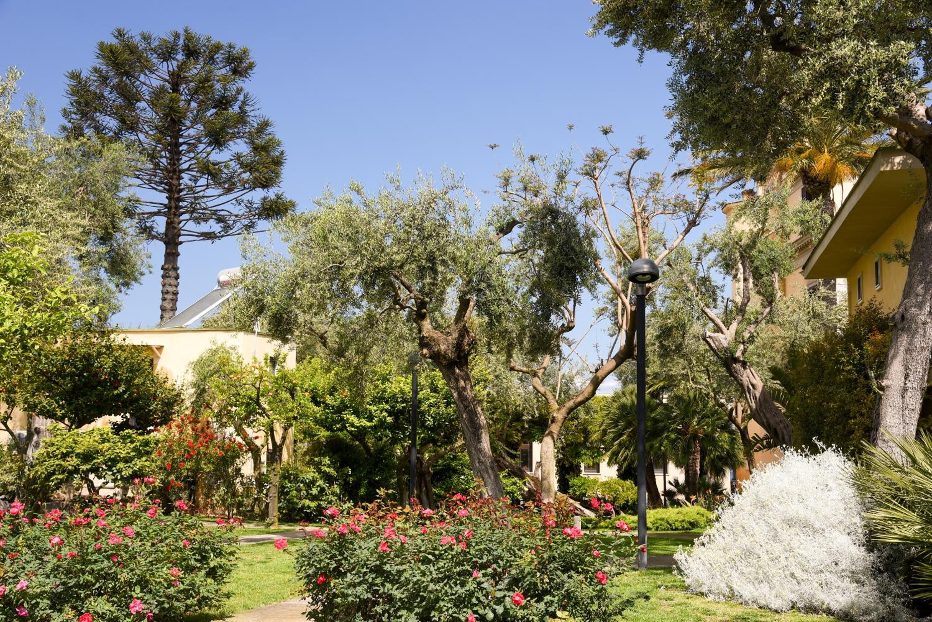 Villa Crawford, photo 44