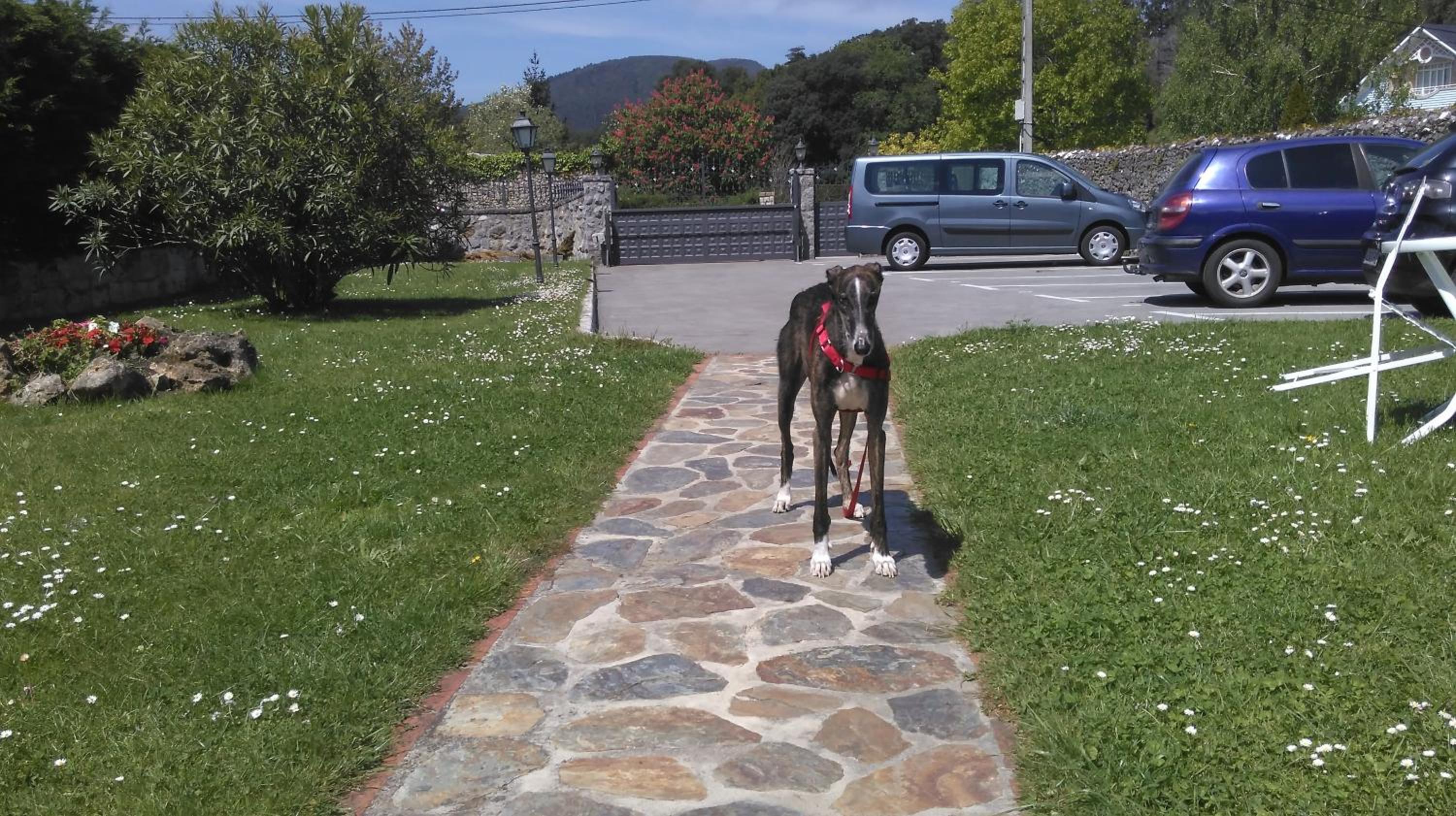 Photo 8