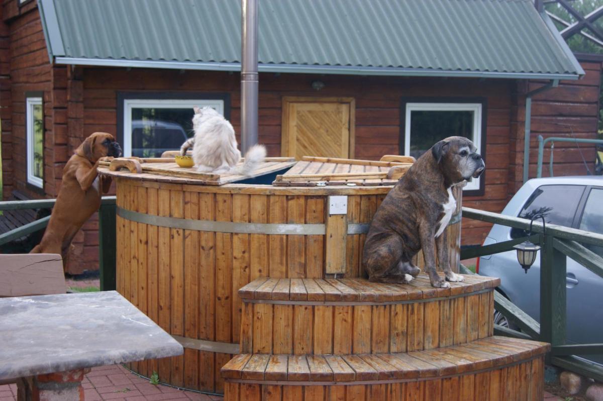 Photo 40