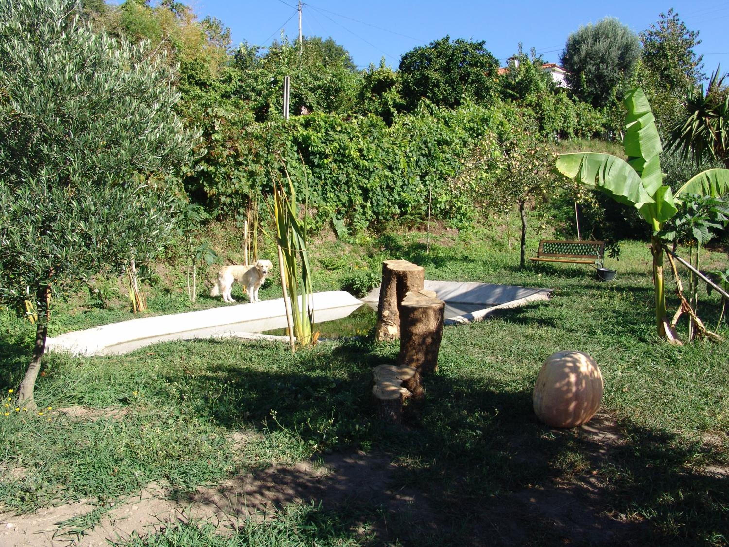 Photo 42