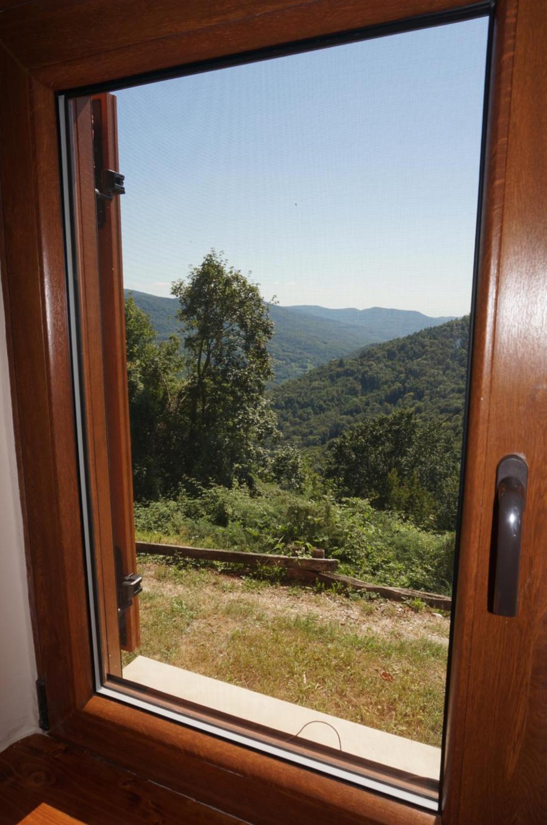 Valley View Apartment