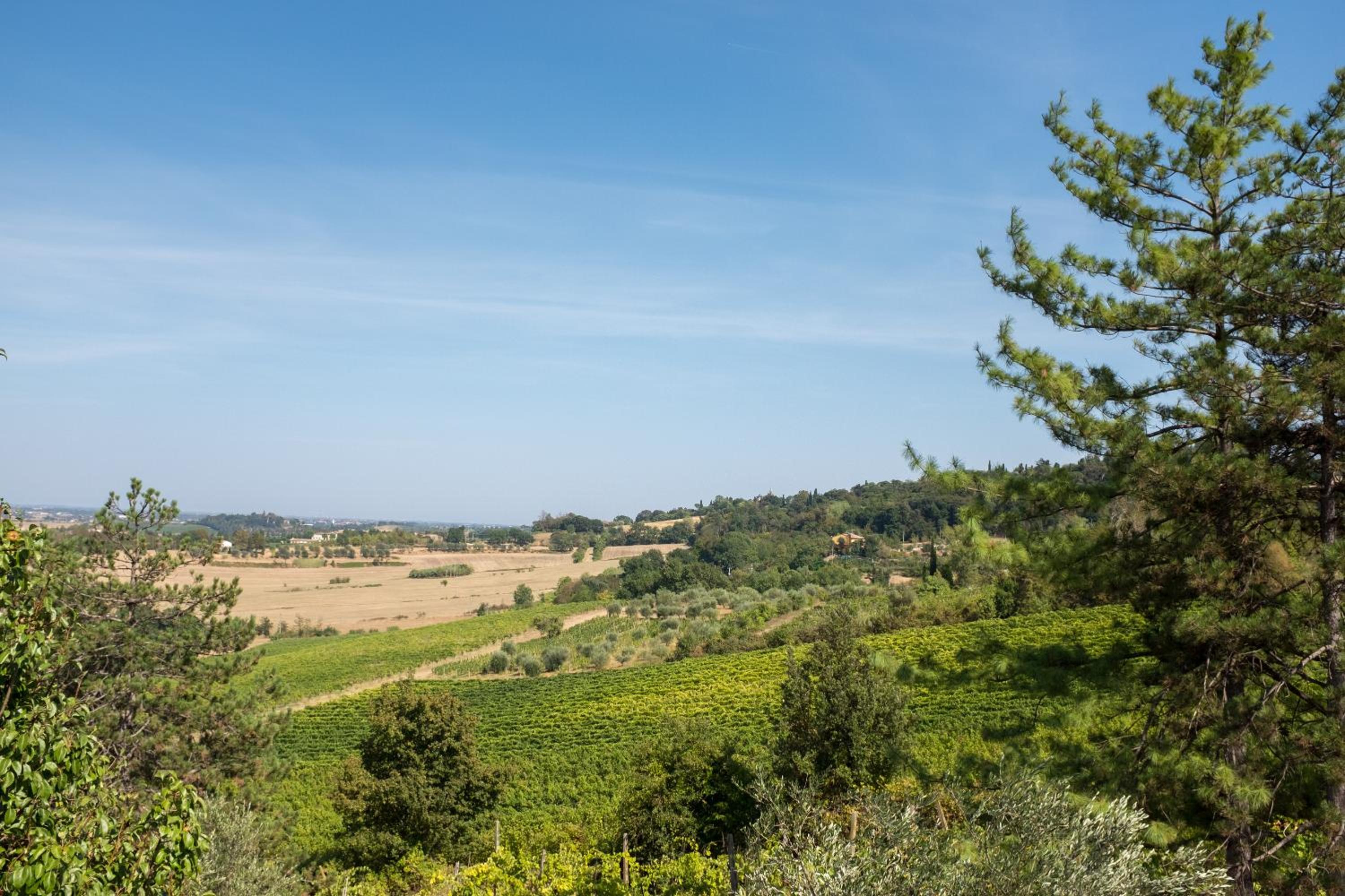 Il Vigneto Cottage