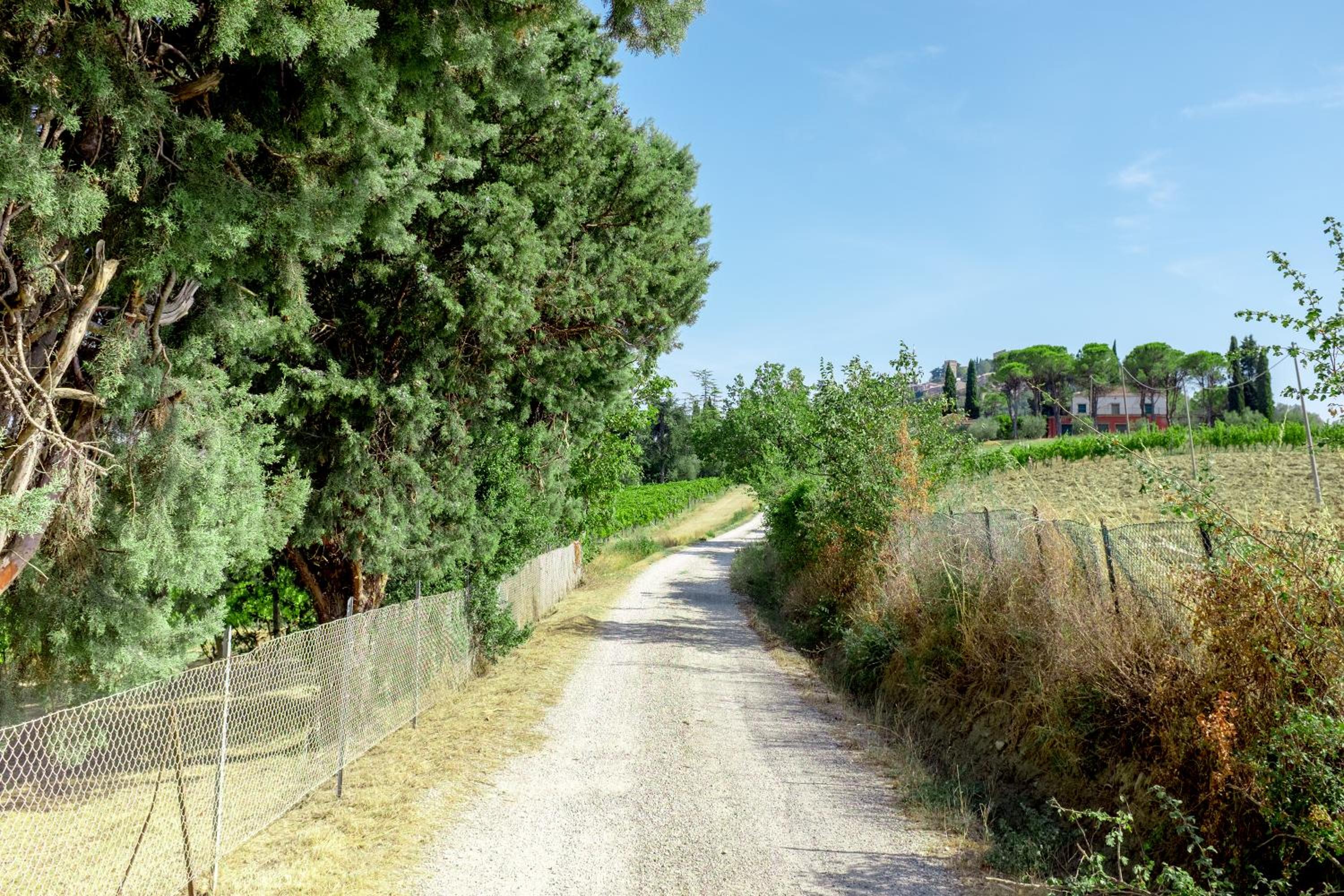 Il Vigneto Cottage