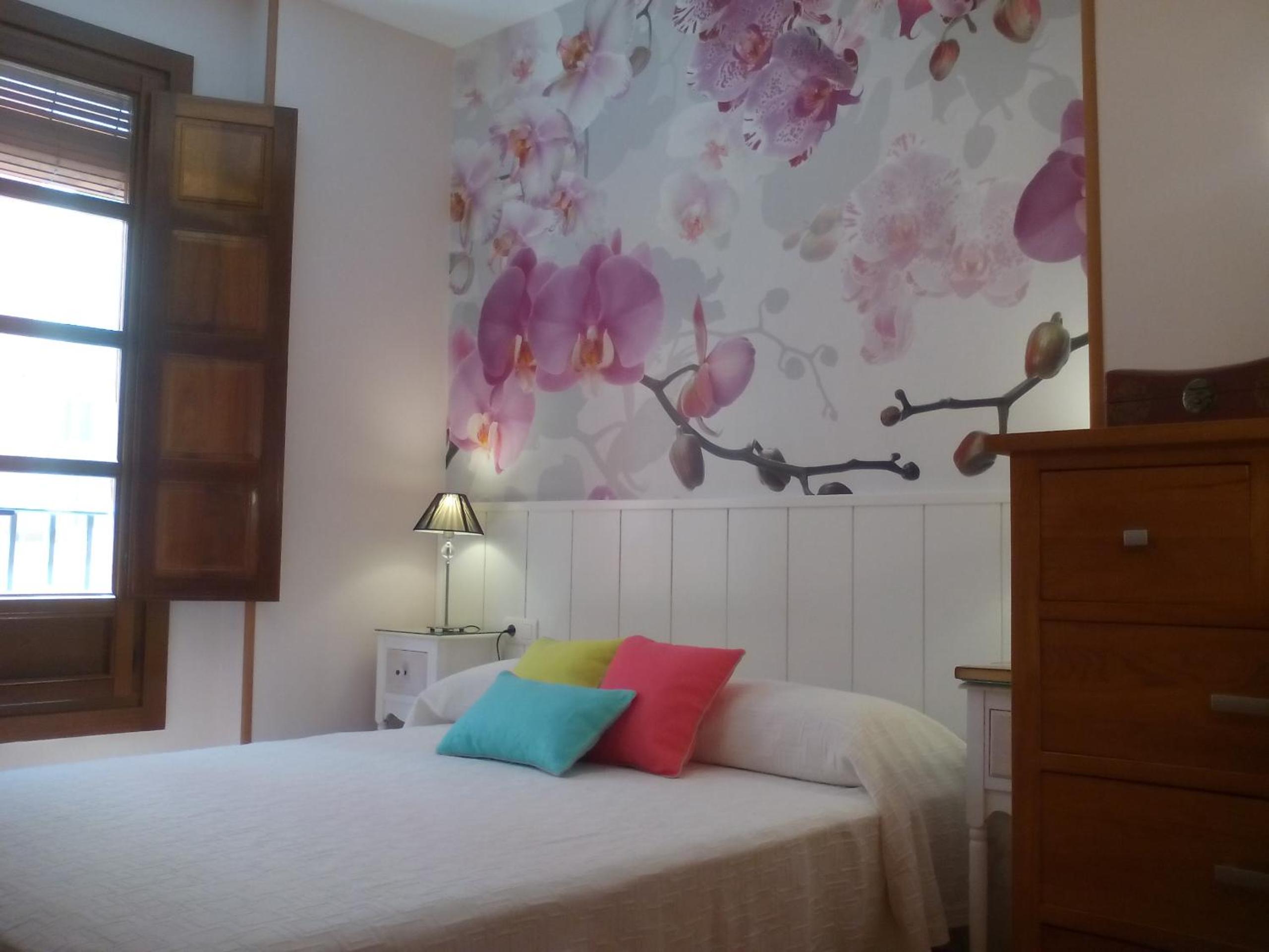 Apartamento Catedral Centro view 4