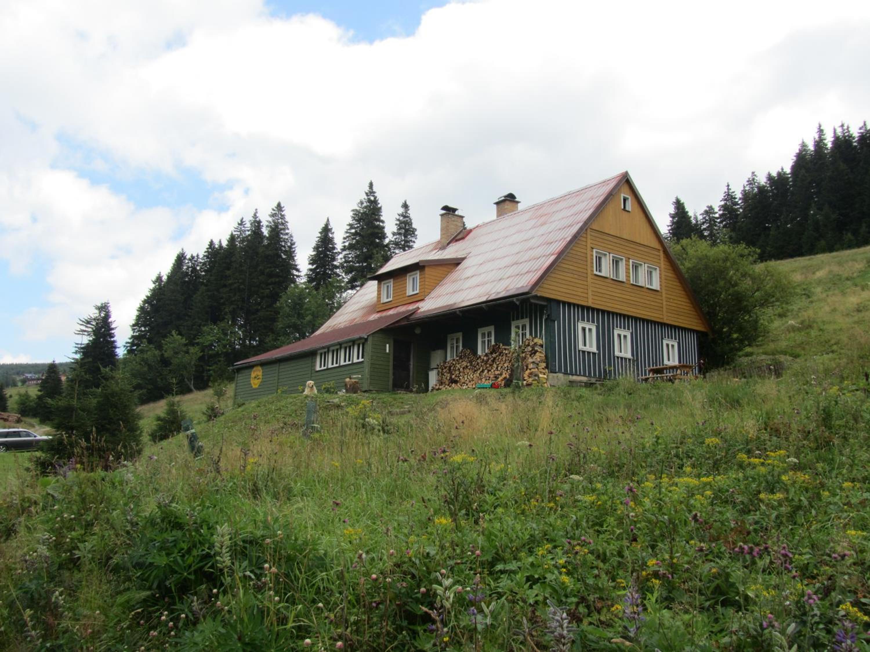 Photo 19