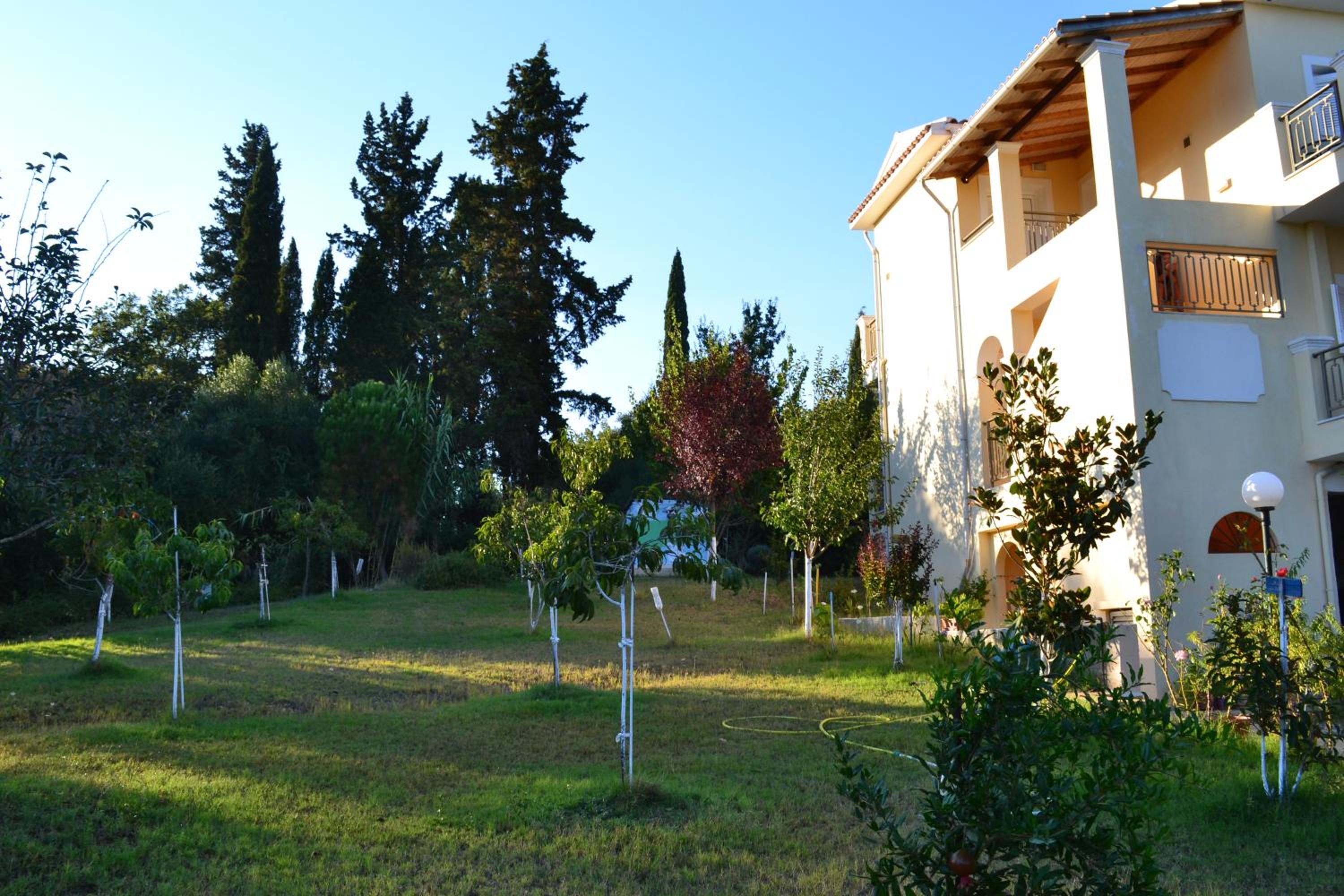 Photo 21