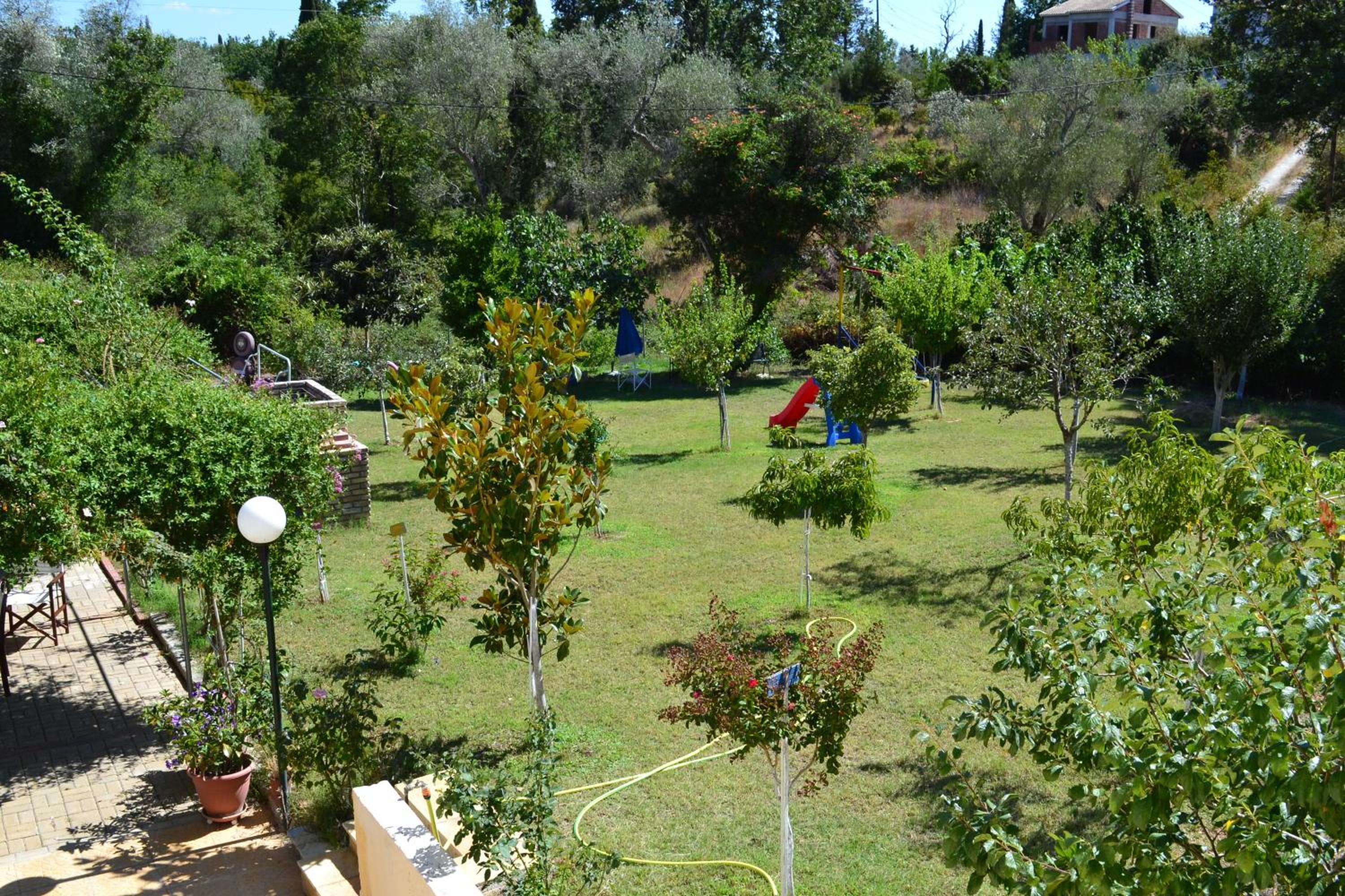 Photo 42