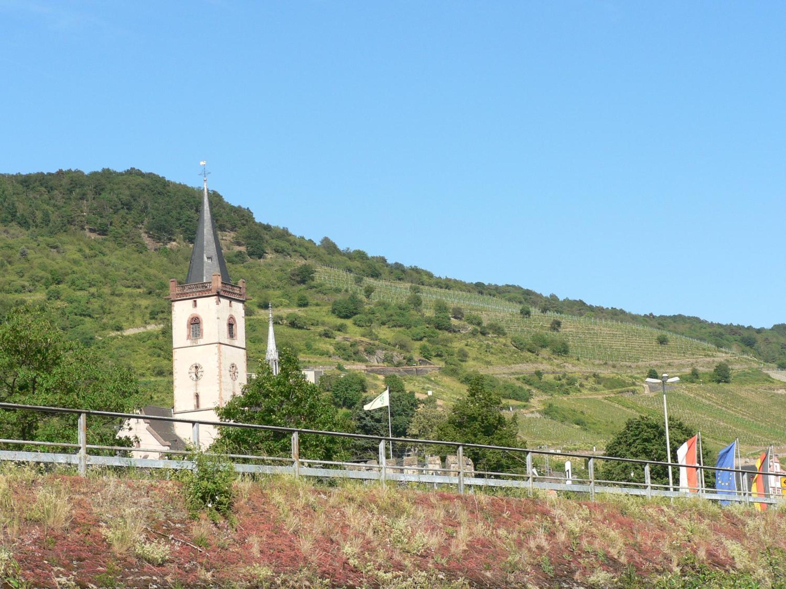 Photo 24