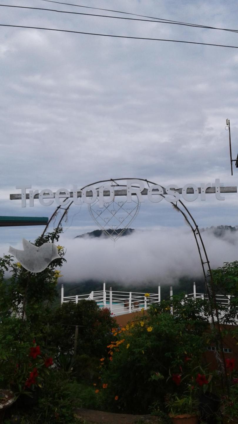 Khao Kho Tree Top
