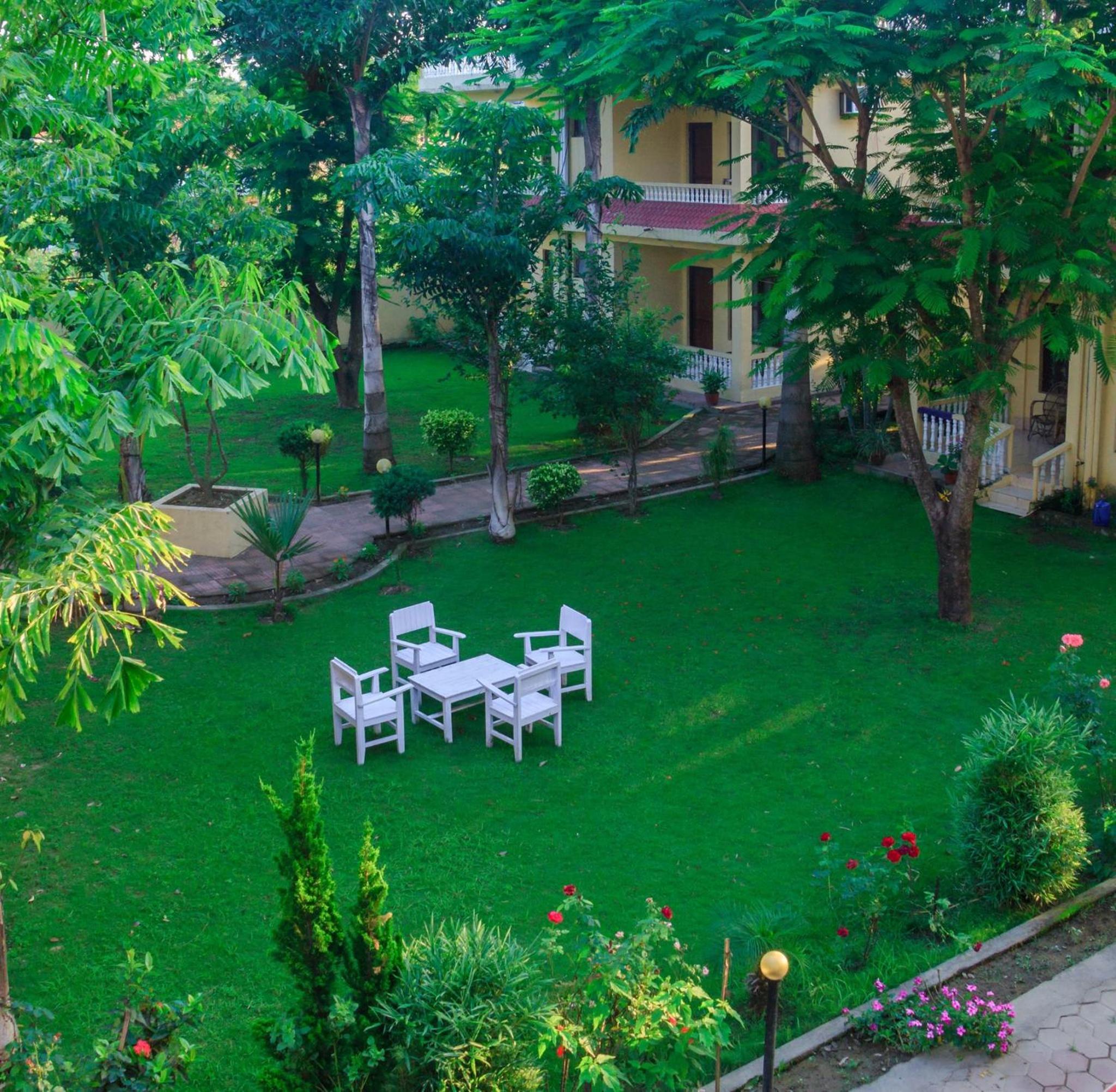 Hotel Rainforest view 2
