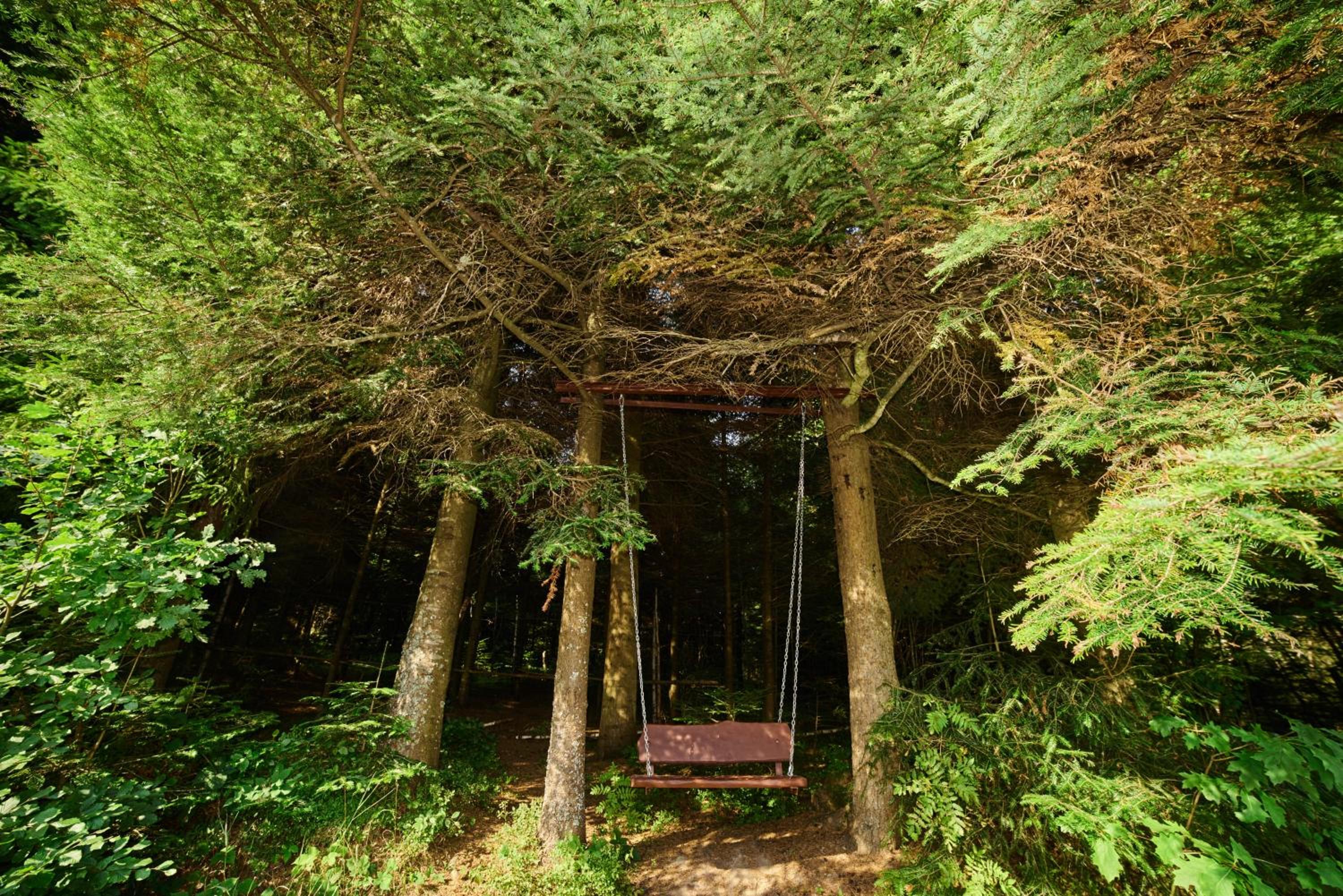 Forest House exclusive