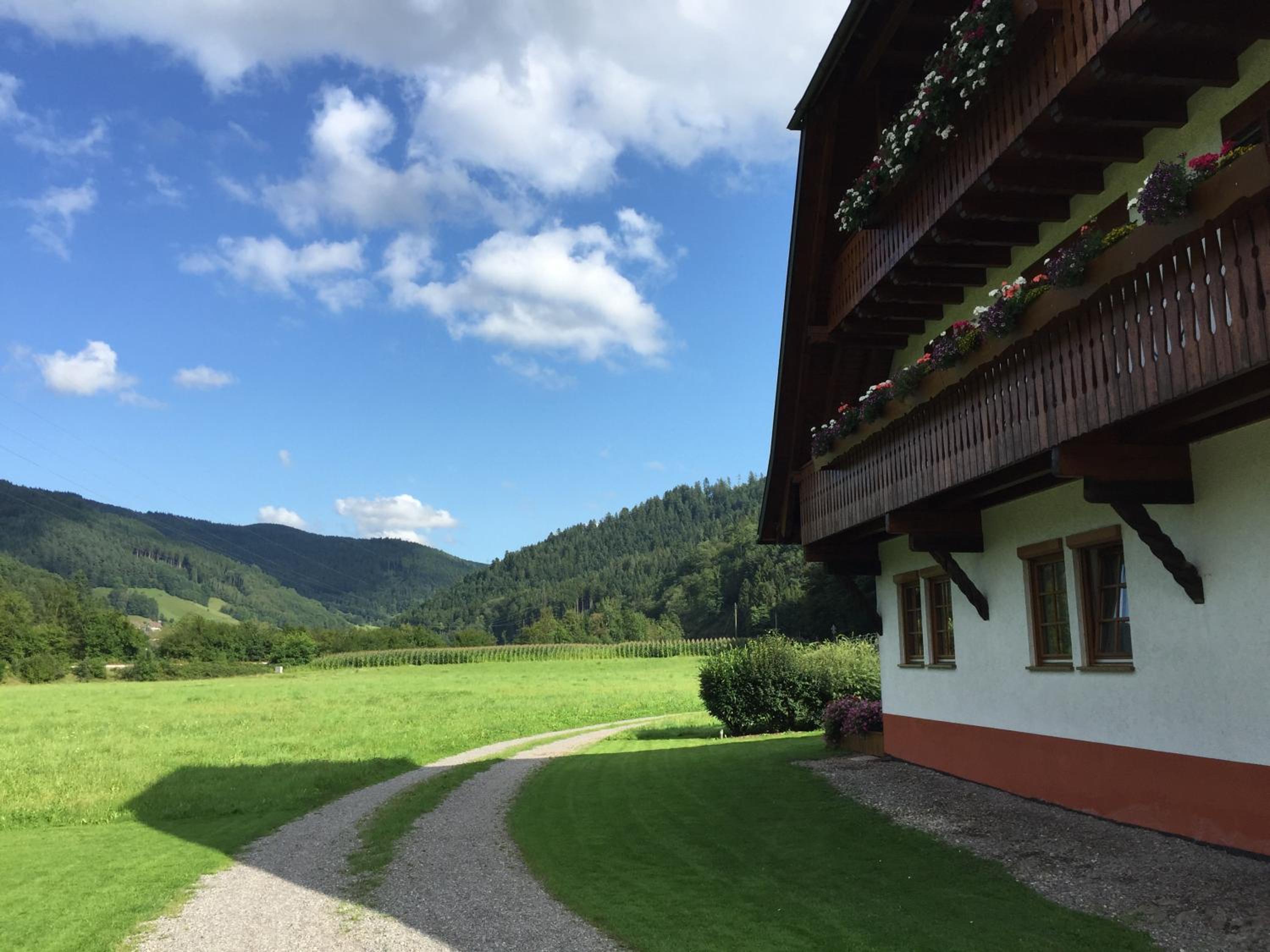 Hof hinter der Mühle