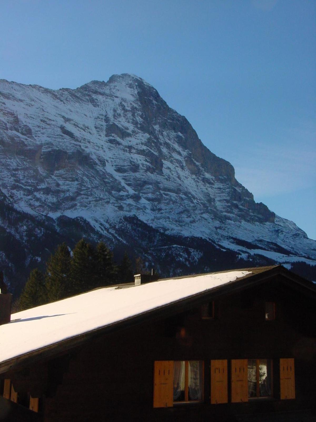 Chrinnengletscher