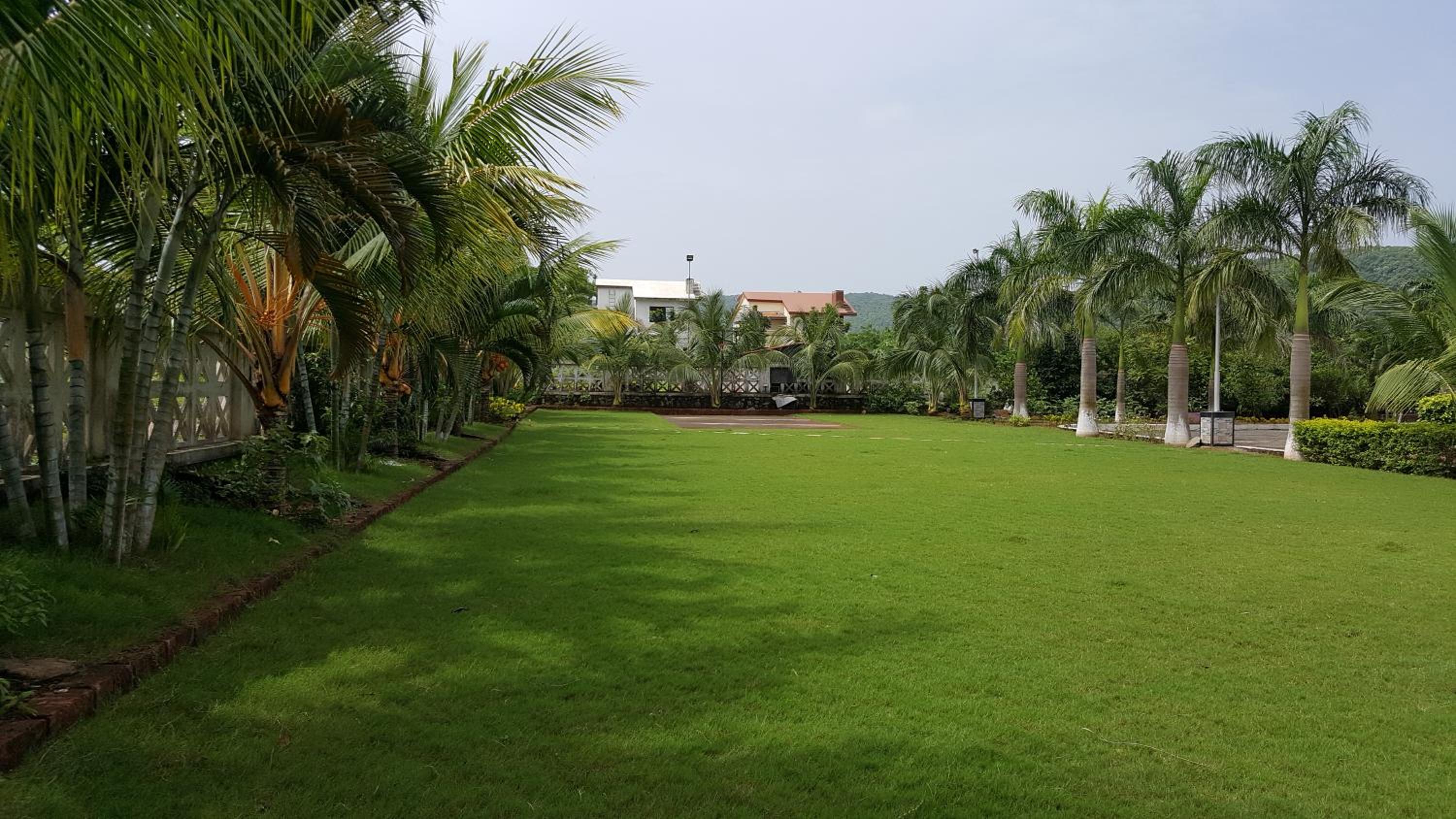 Photo 45