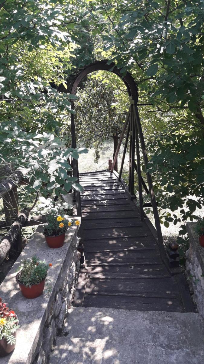 Photo 27