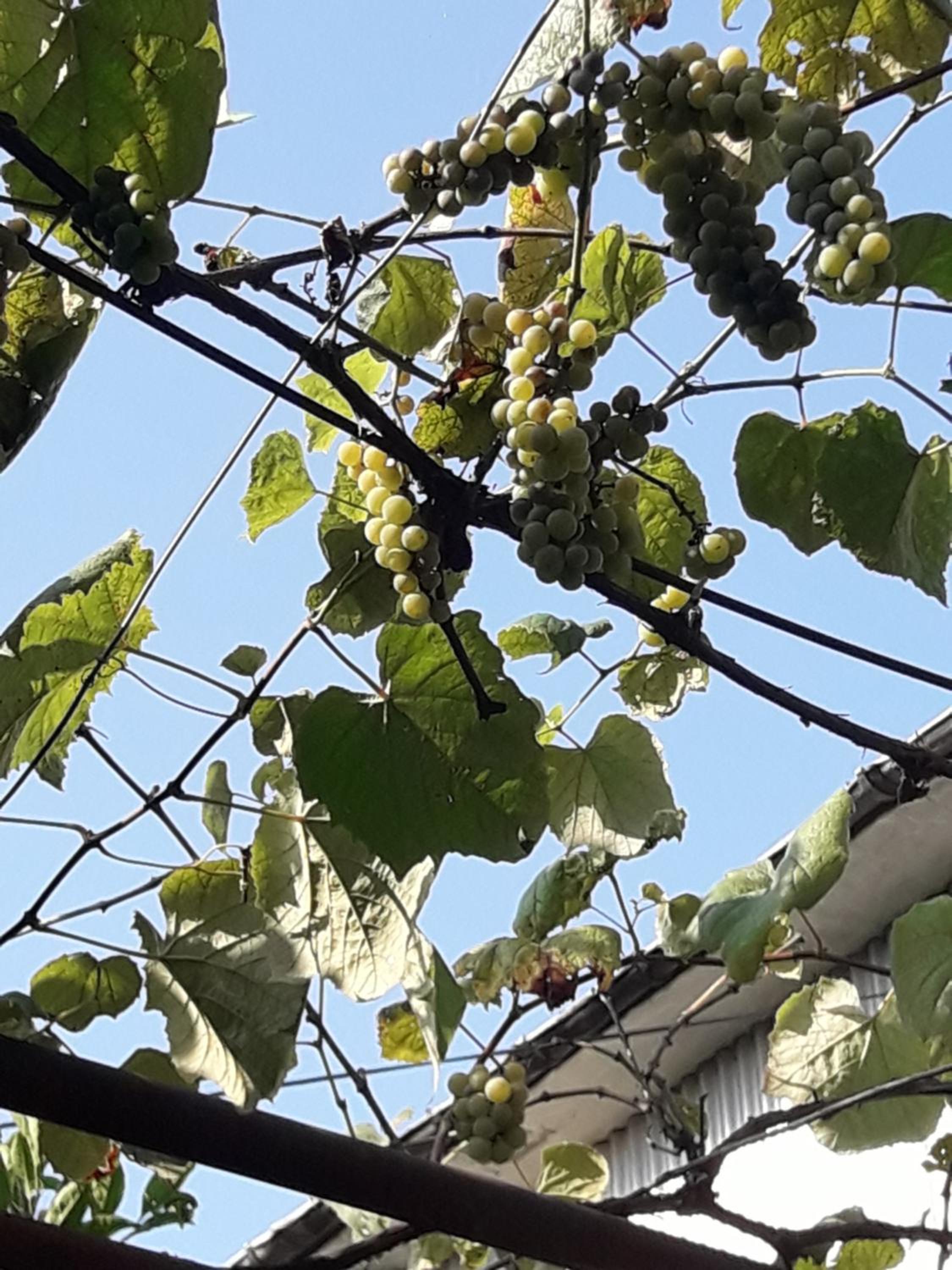 Photo 69