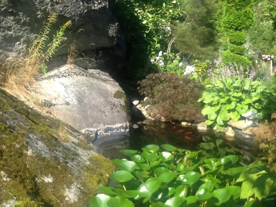 Photo 9