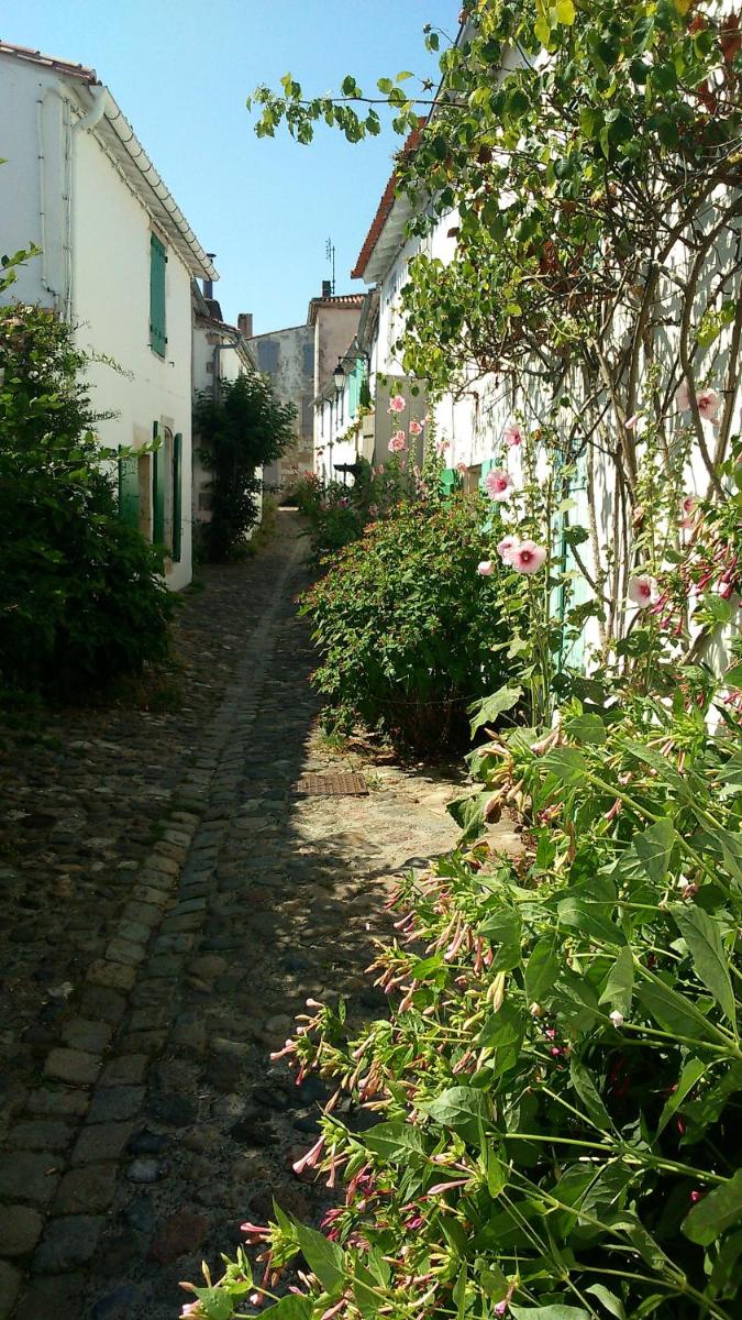 Photo 21