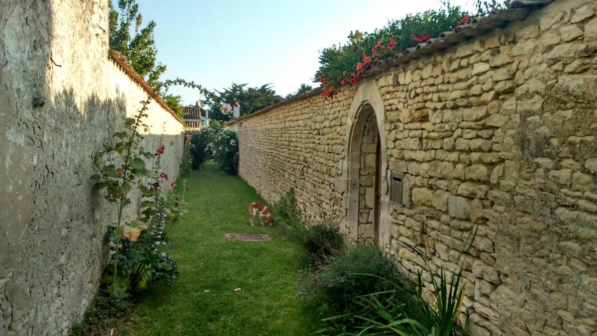 Photo 23