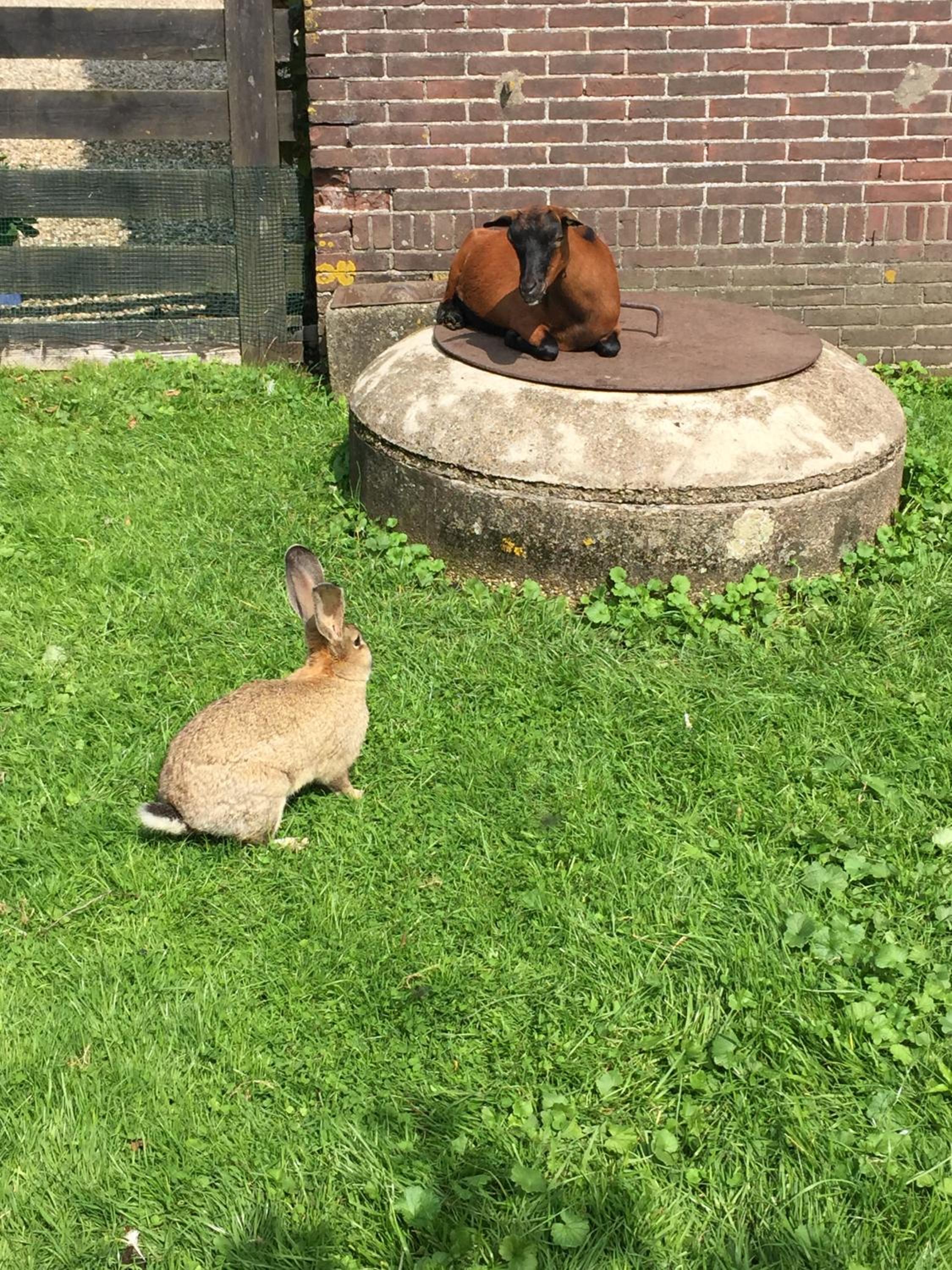 Photo 28