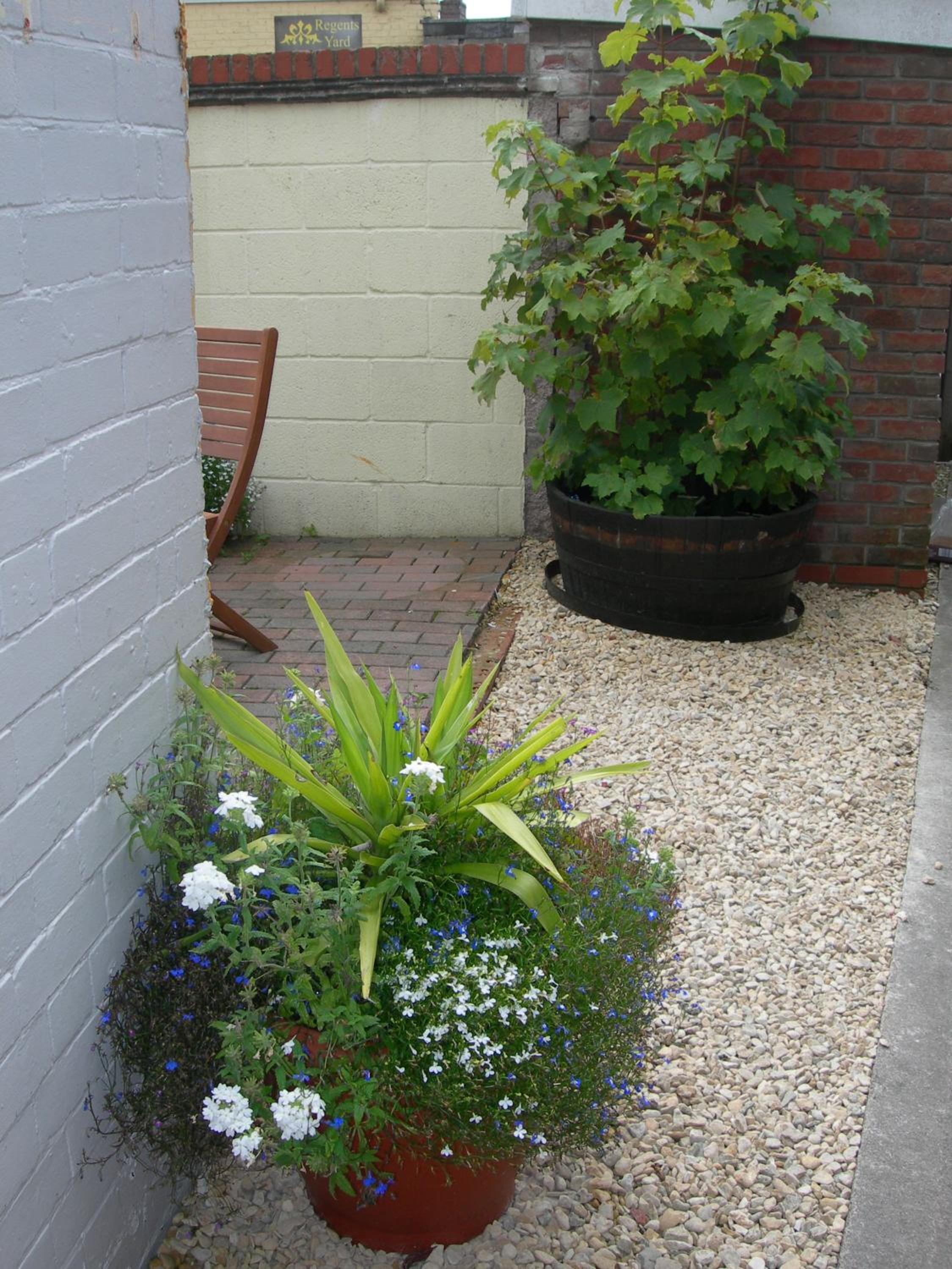 Photo 46