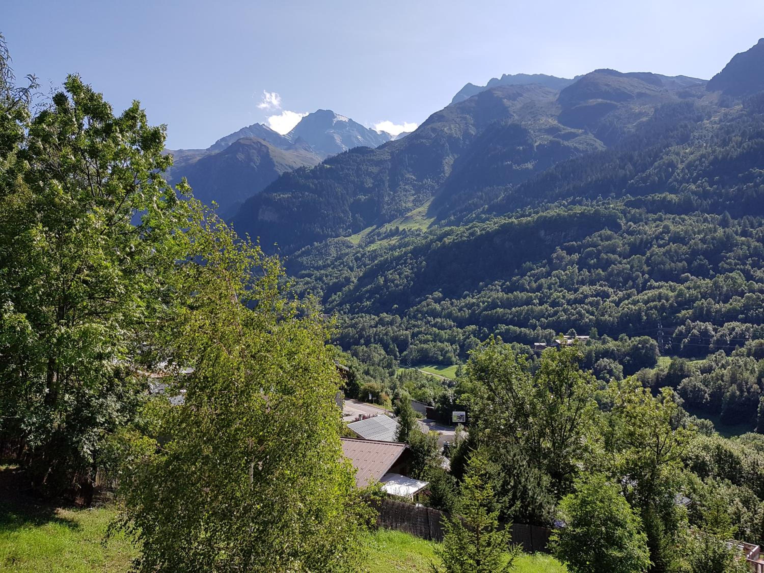 Arpege Des Neiges view 5