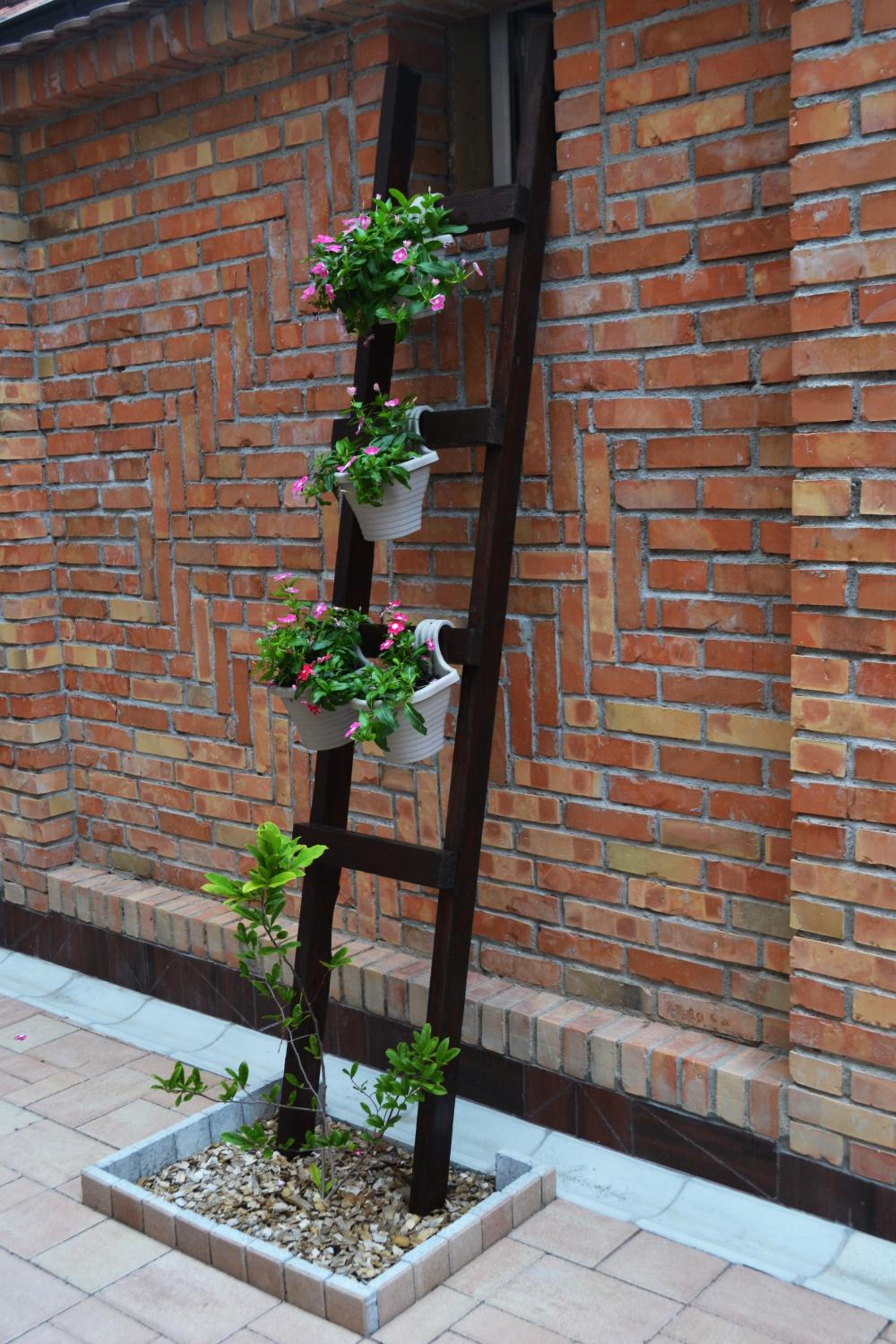 Photo 33