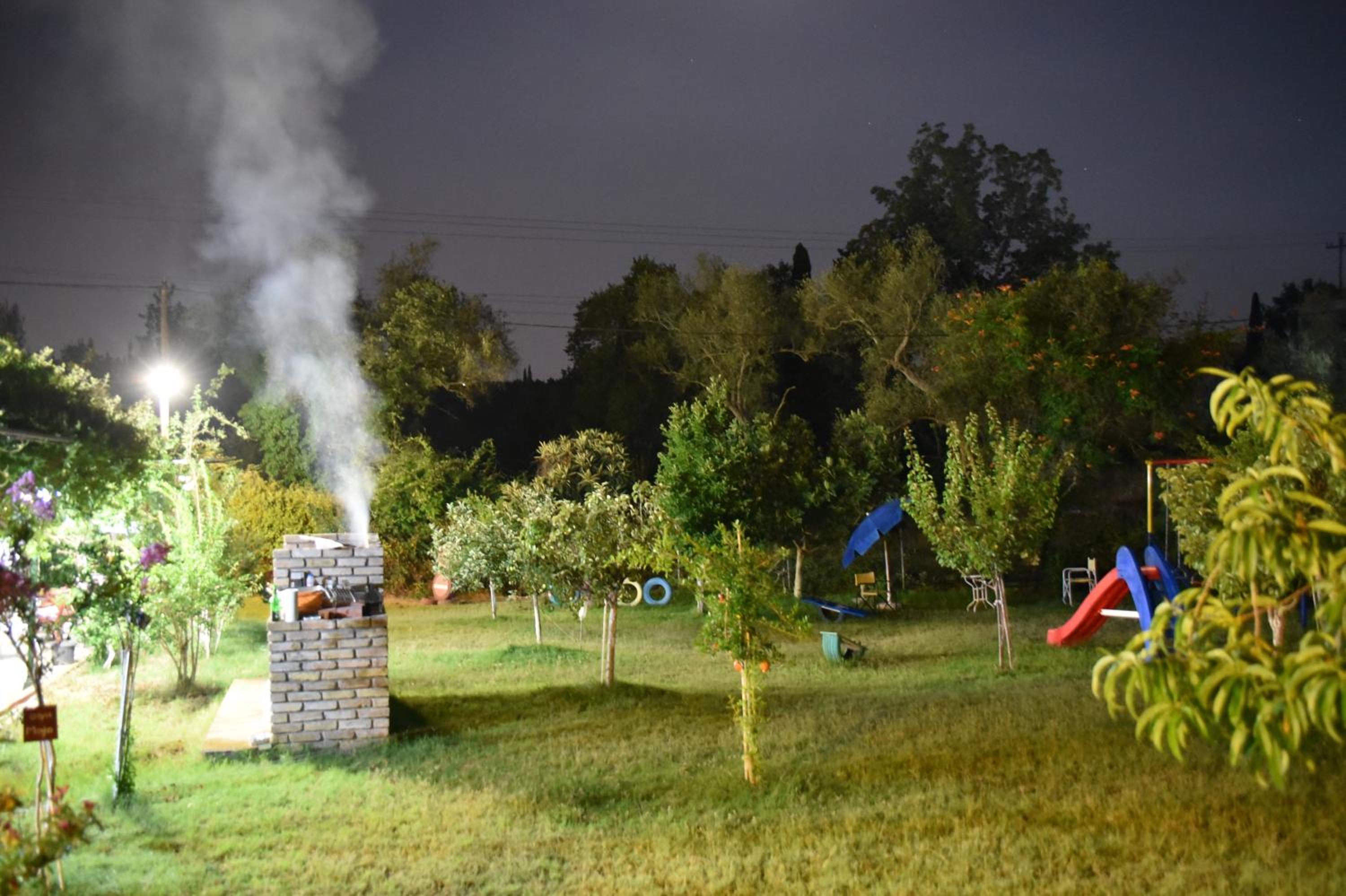 Photo 41