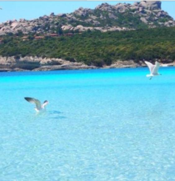GG Luxury Apartments - Santa Teresa di Gallura view 5