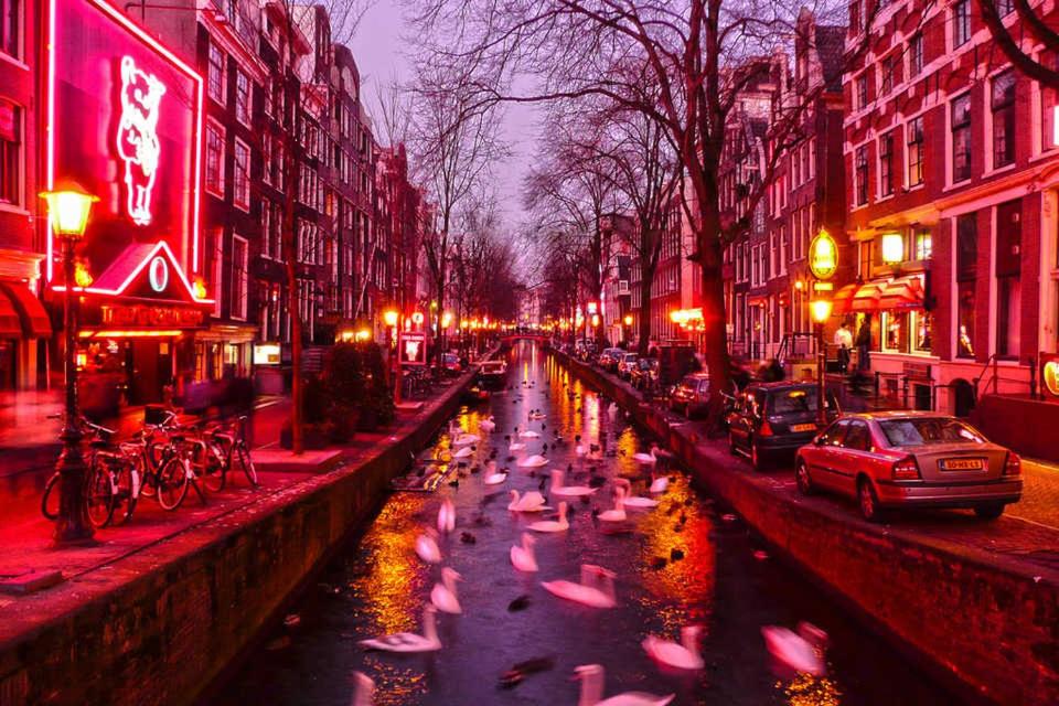 Amsterdam Red Light Bed & Breakfast