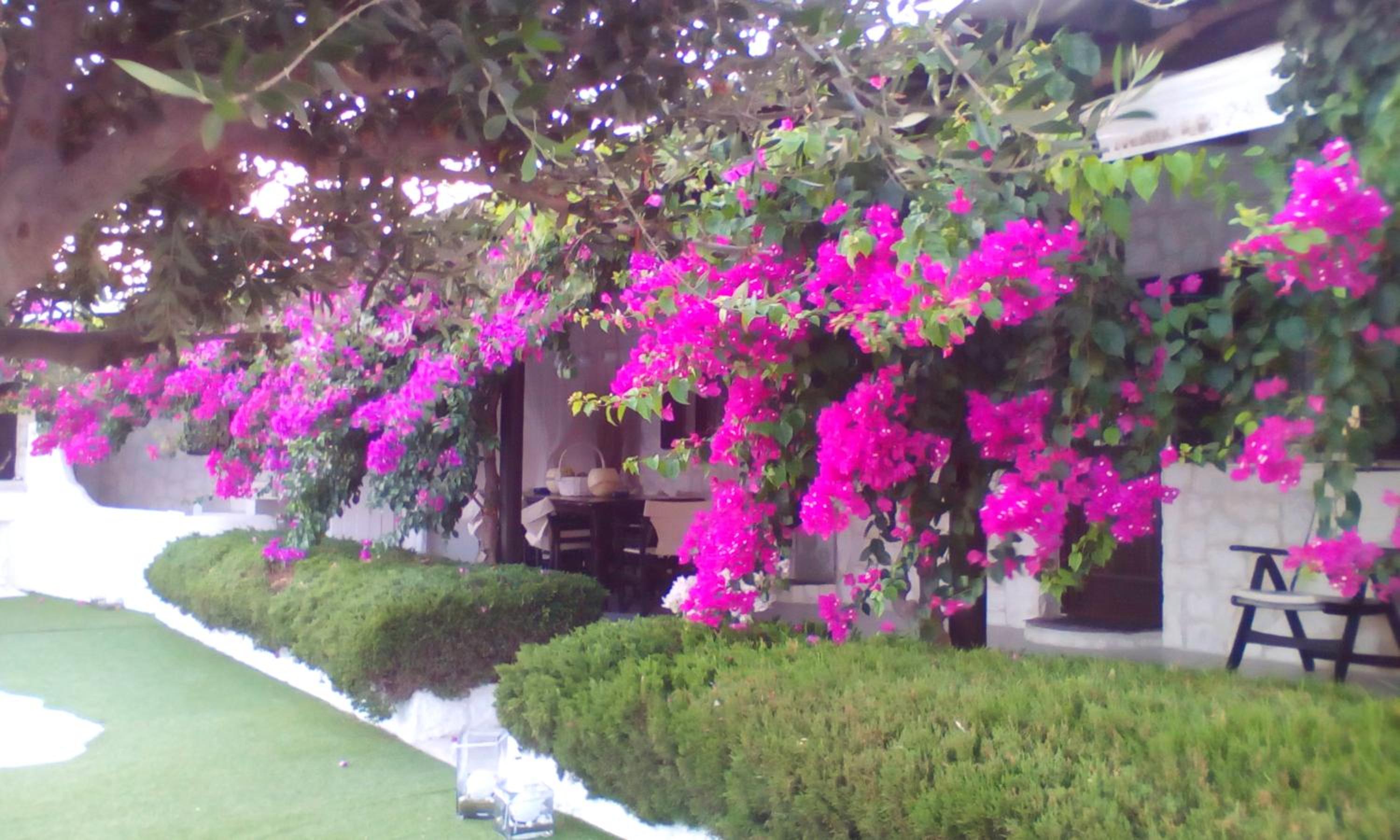 Hidden Heaven